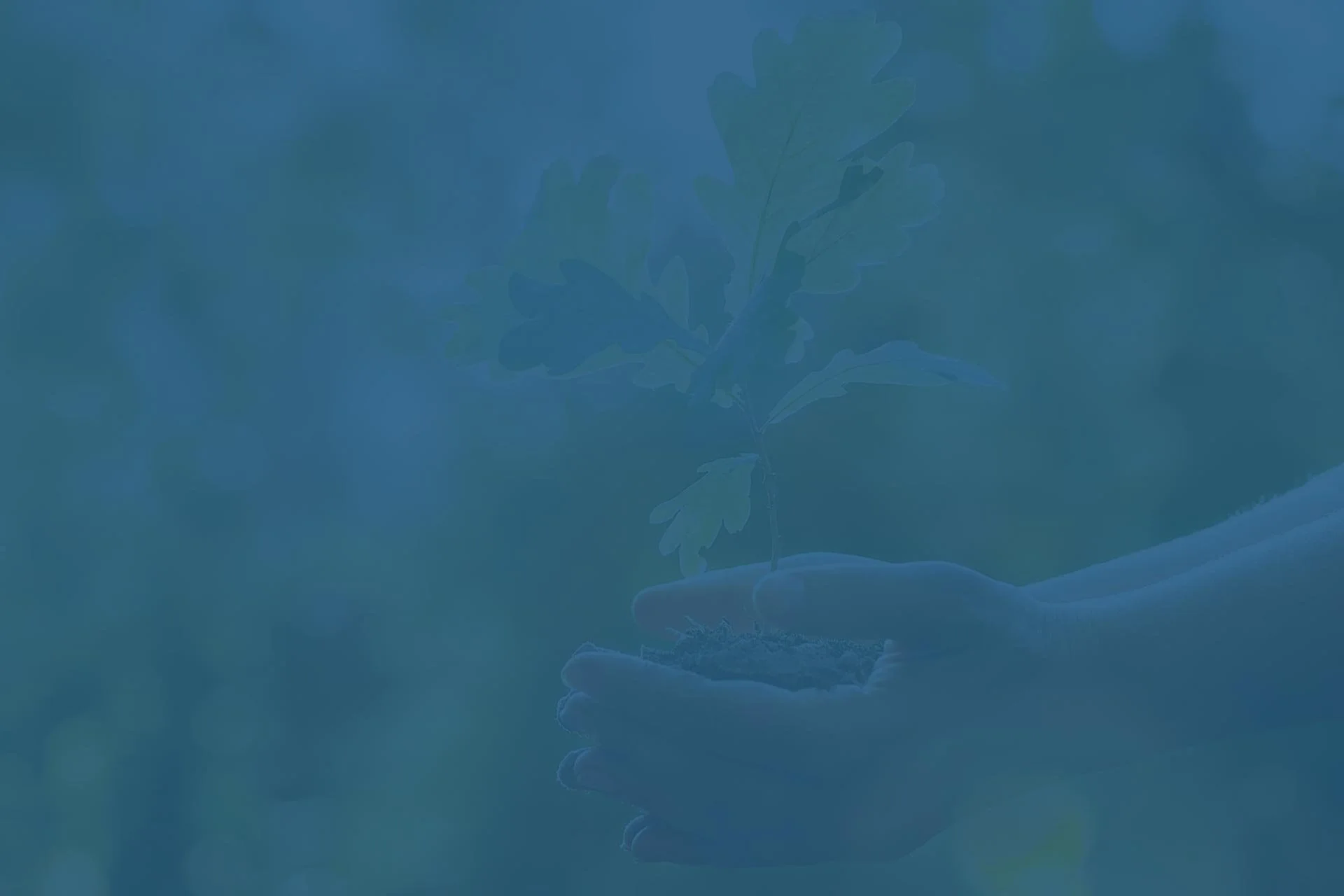 Make a Difference with Planned Giving