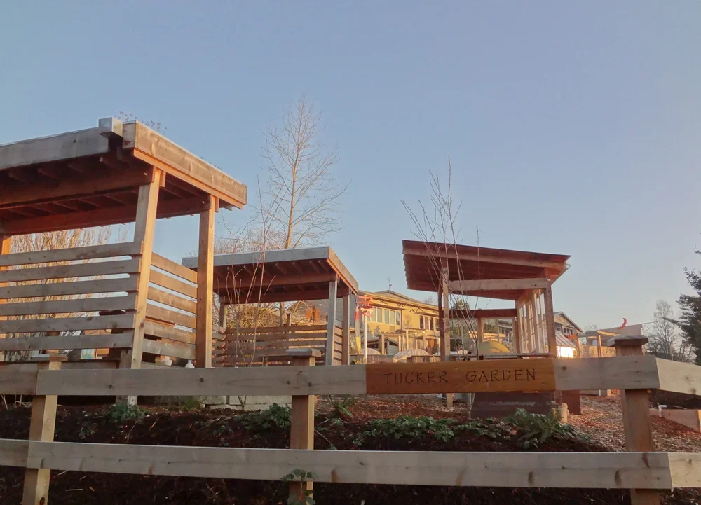 TuckerGarden_5.webp