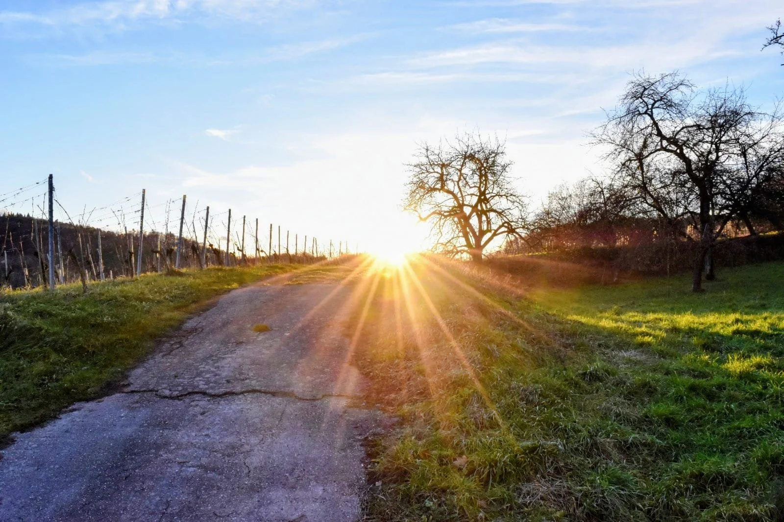 The golden path of new beginnings