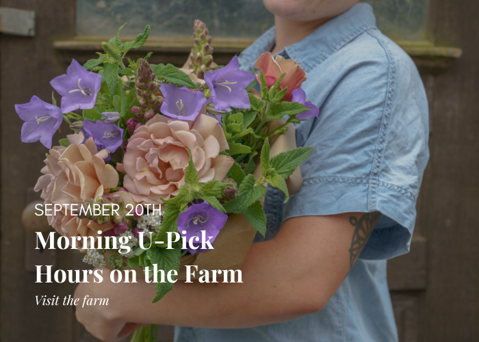Morning U-Pick Hours