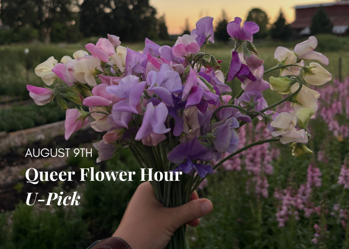 Queer Flower Hour U-Pick