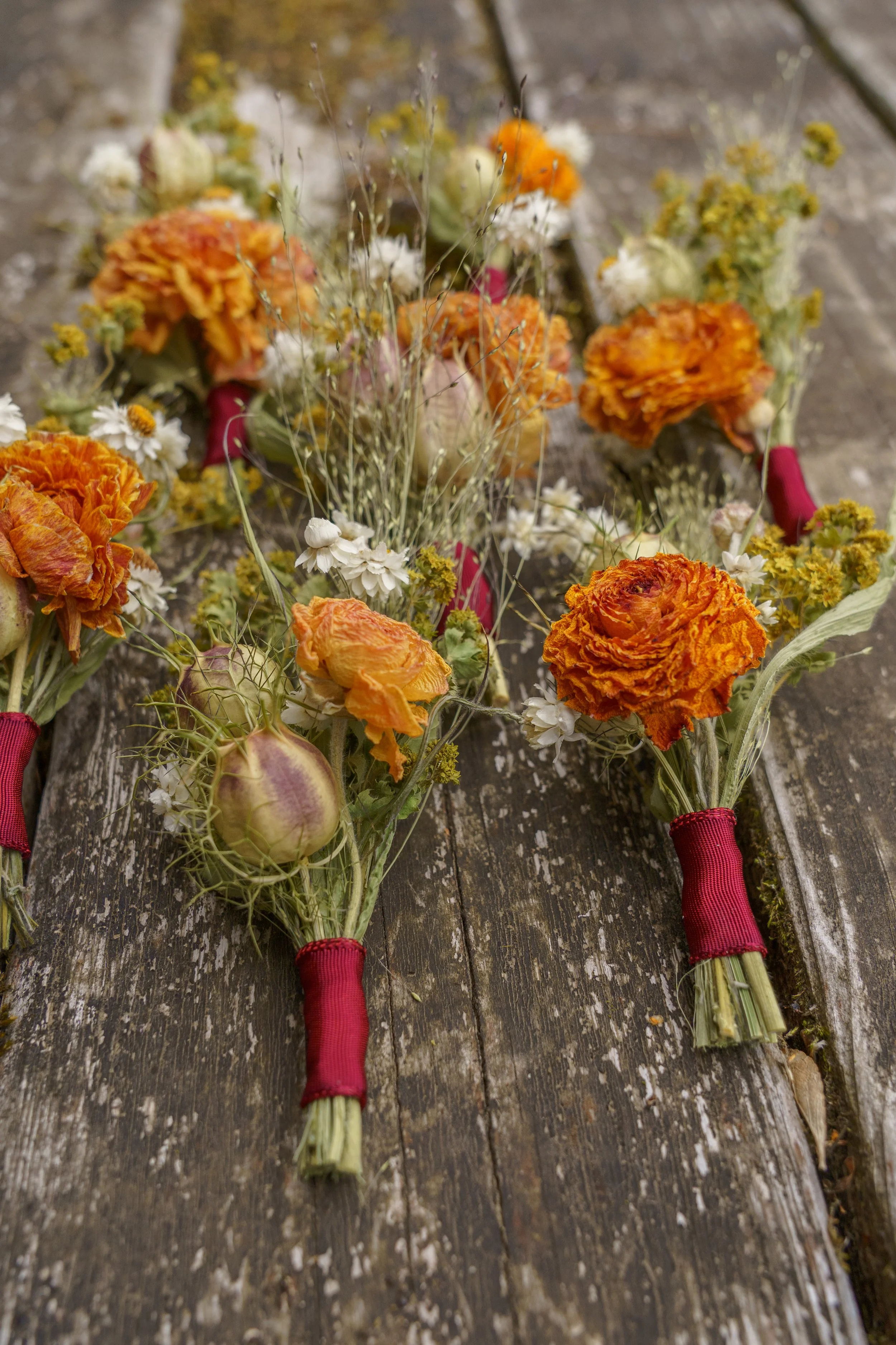 DSC01637.JPG