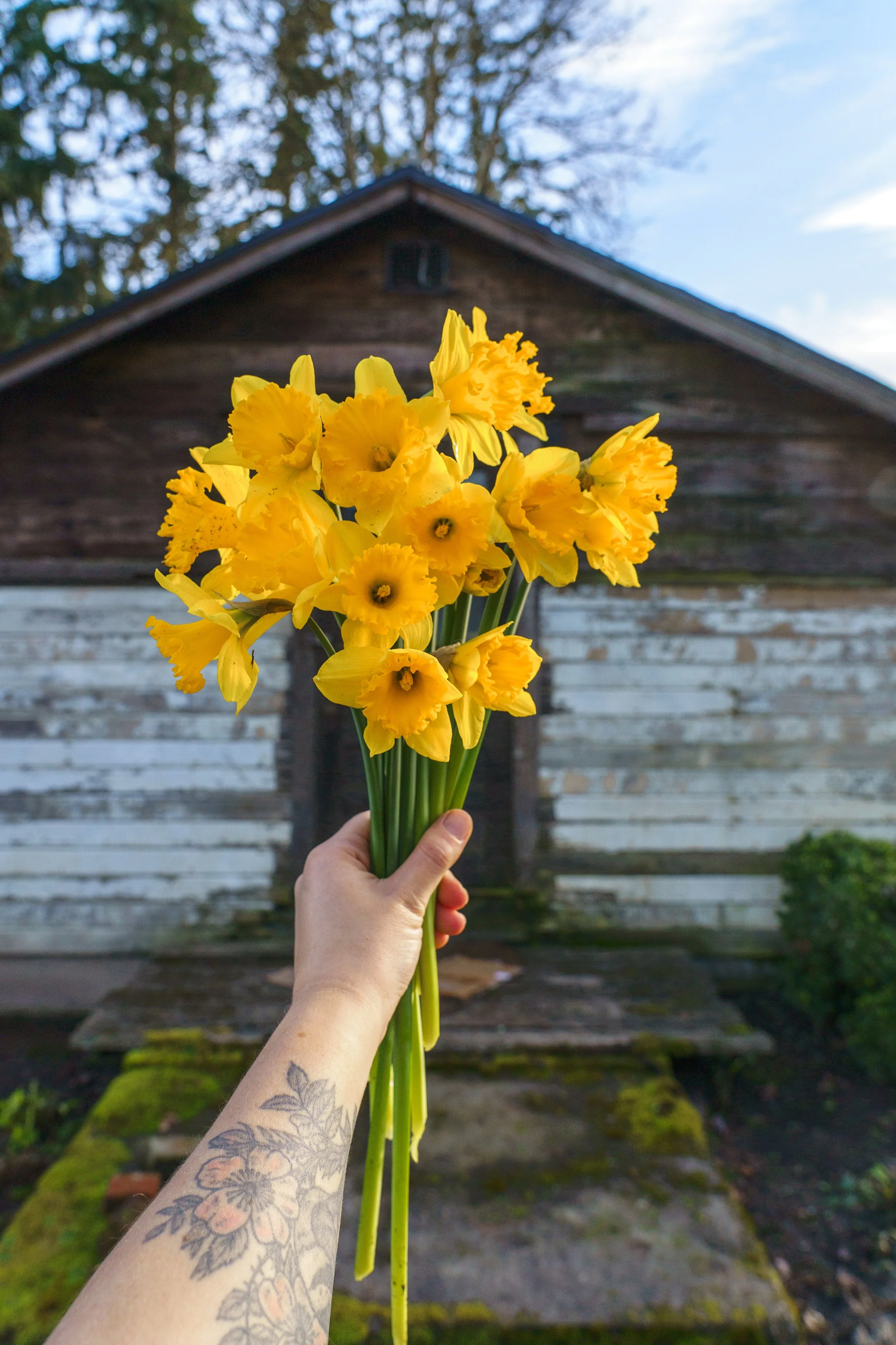 First Seedlings in the Ground!
