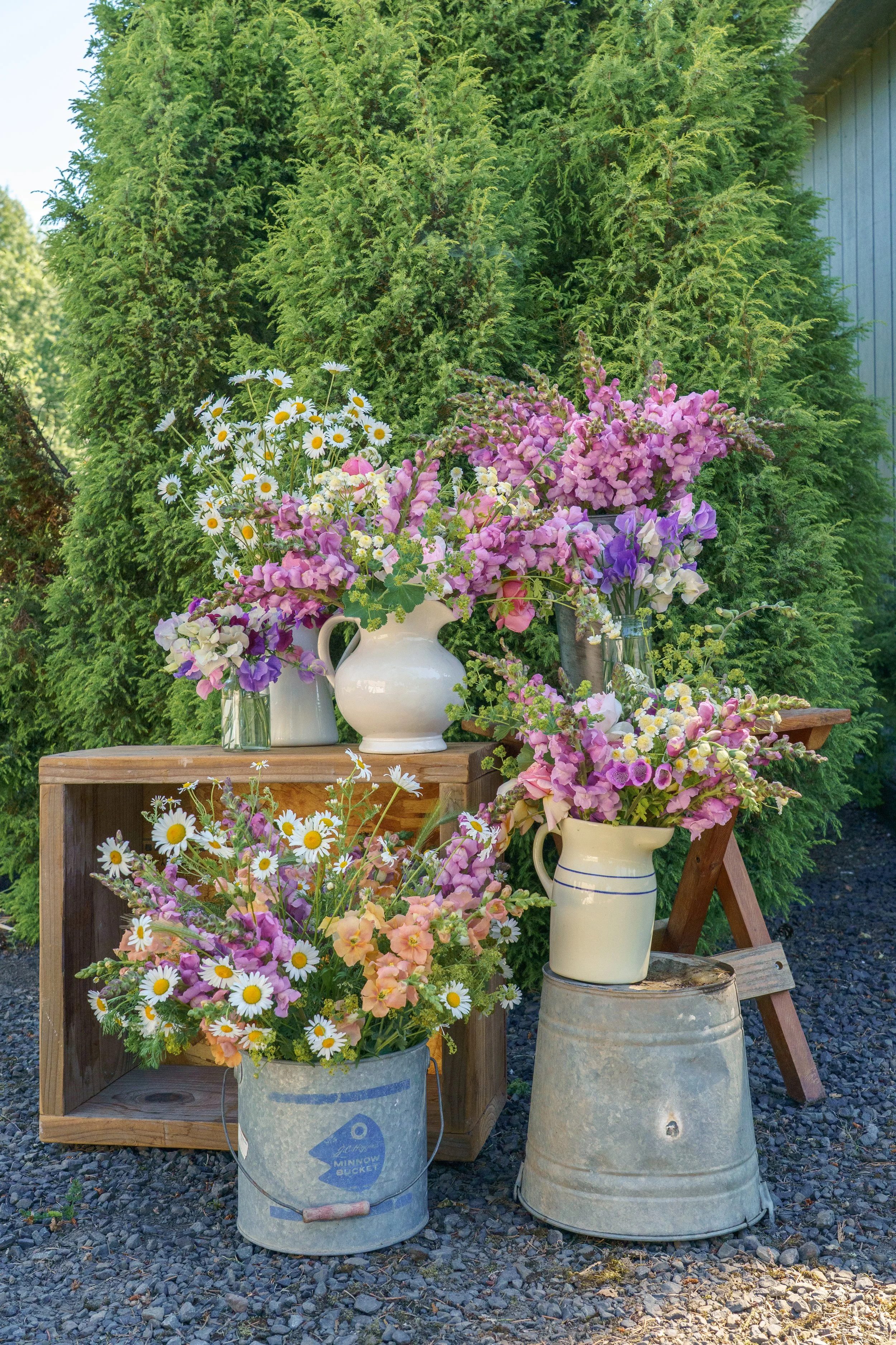 Arrangement of colorful flowers, including daisies, snapdragons, and sweet peas, in vases and buckets, set outdoors against a backdrop of green bushes and trees.