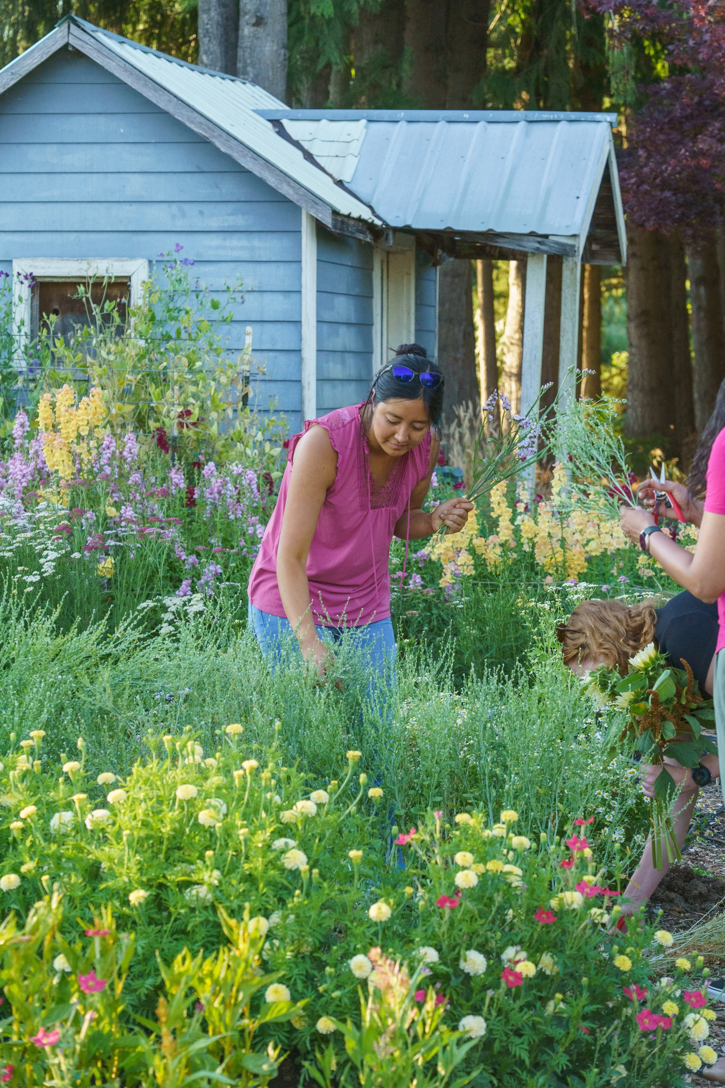 People working in a vibrant garden filled with yellow, pink, and purple flowers, next to a small blue wooden house surrounded by tall trees.
