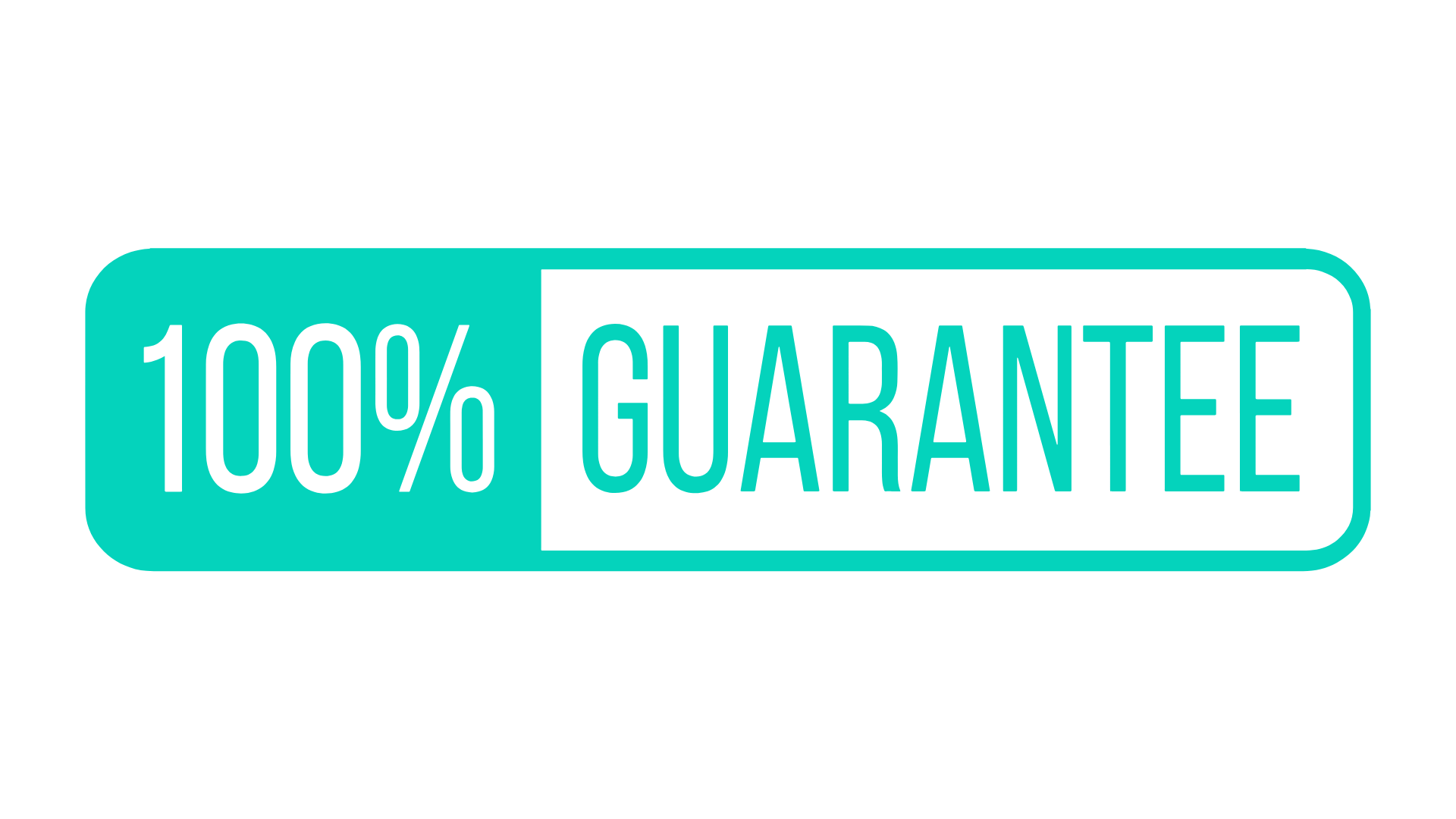 A logo with a teal background that says "100% GUARANTEE" in bold white letters.