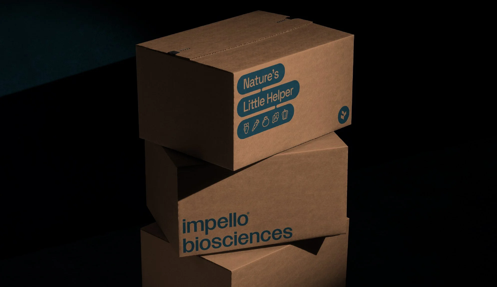Impello's shipping box minimal design.