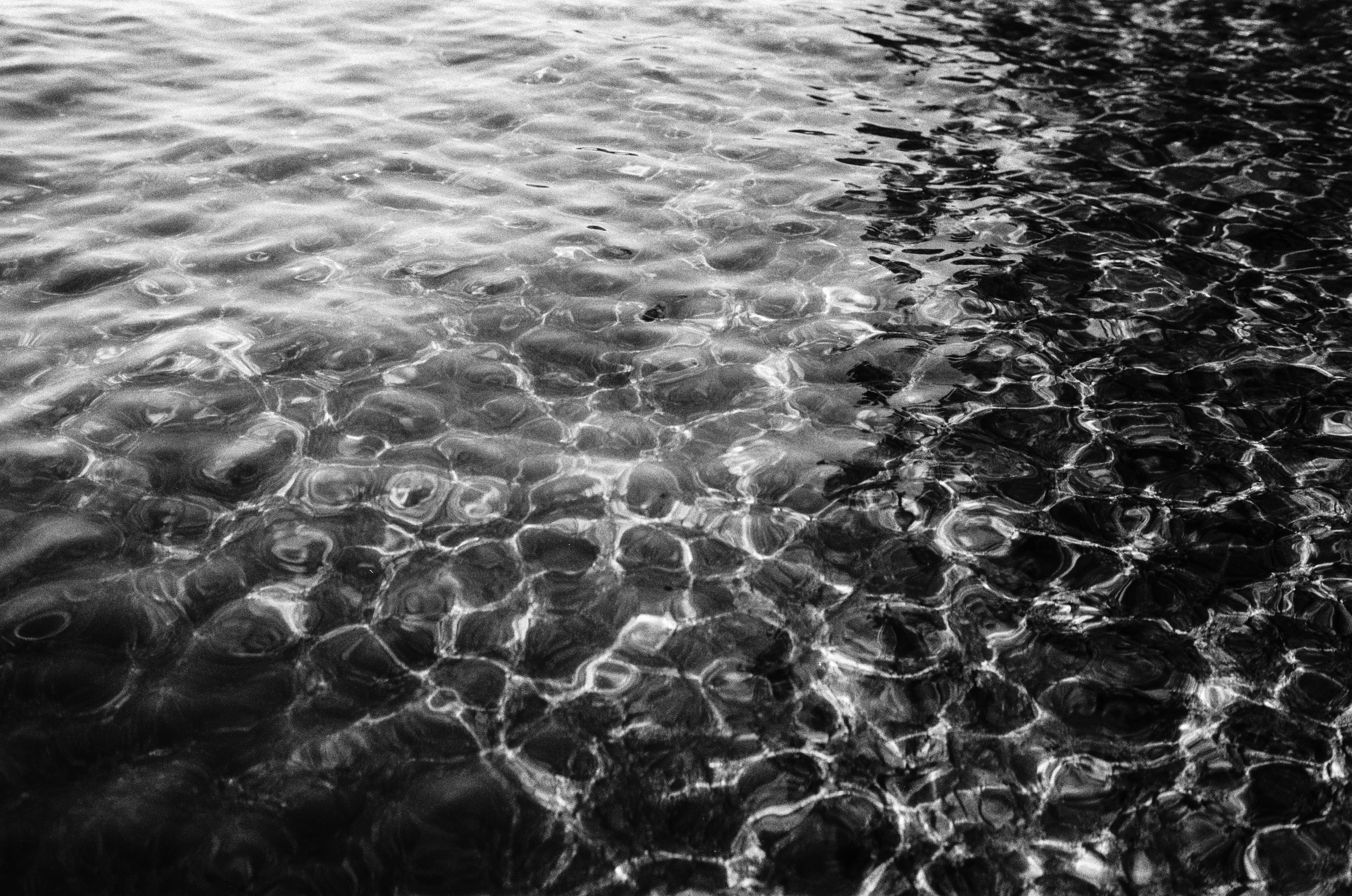 20230810.ilford.california.5.jpeg