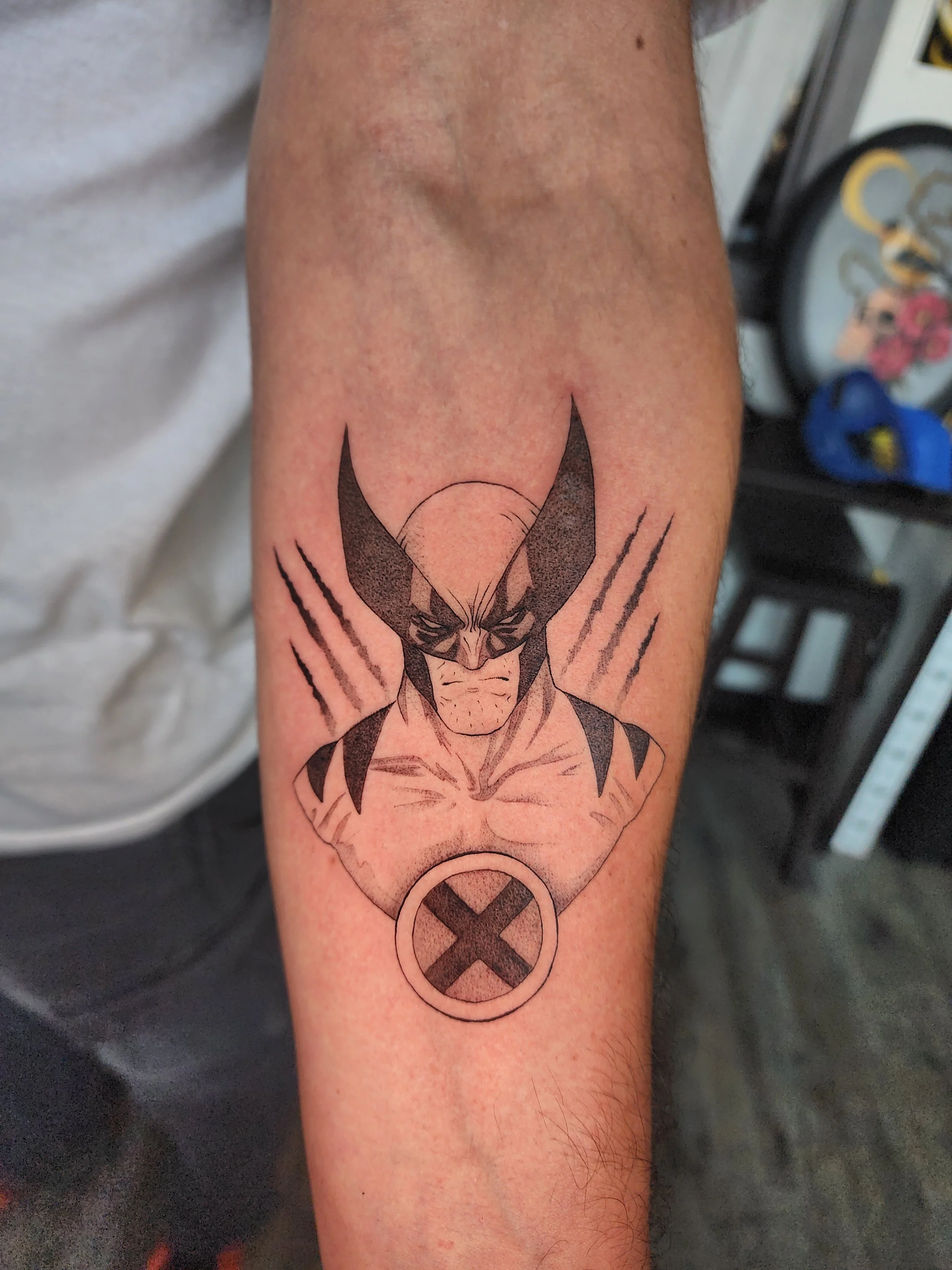 Black and grey wolverine