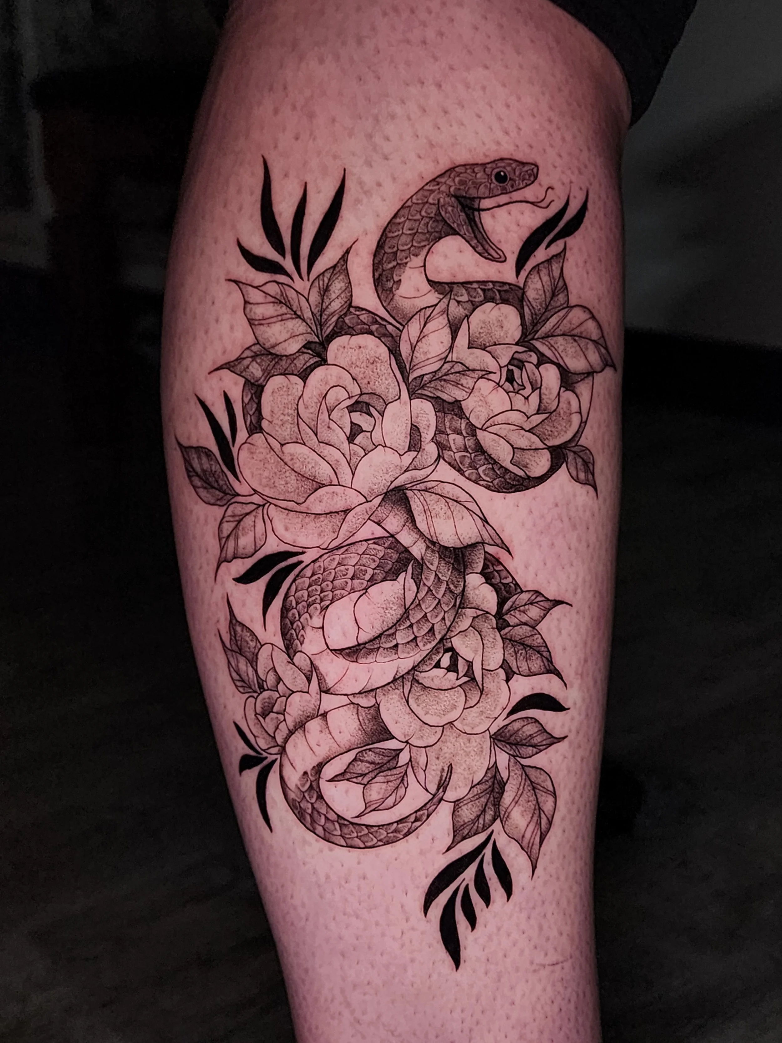Black and grey snake coiling around peonies