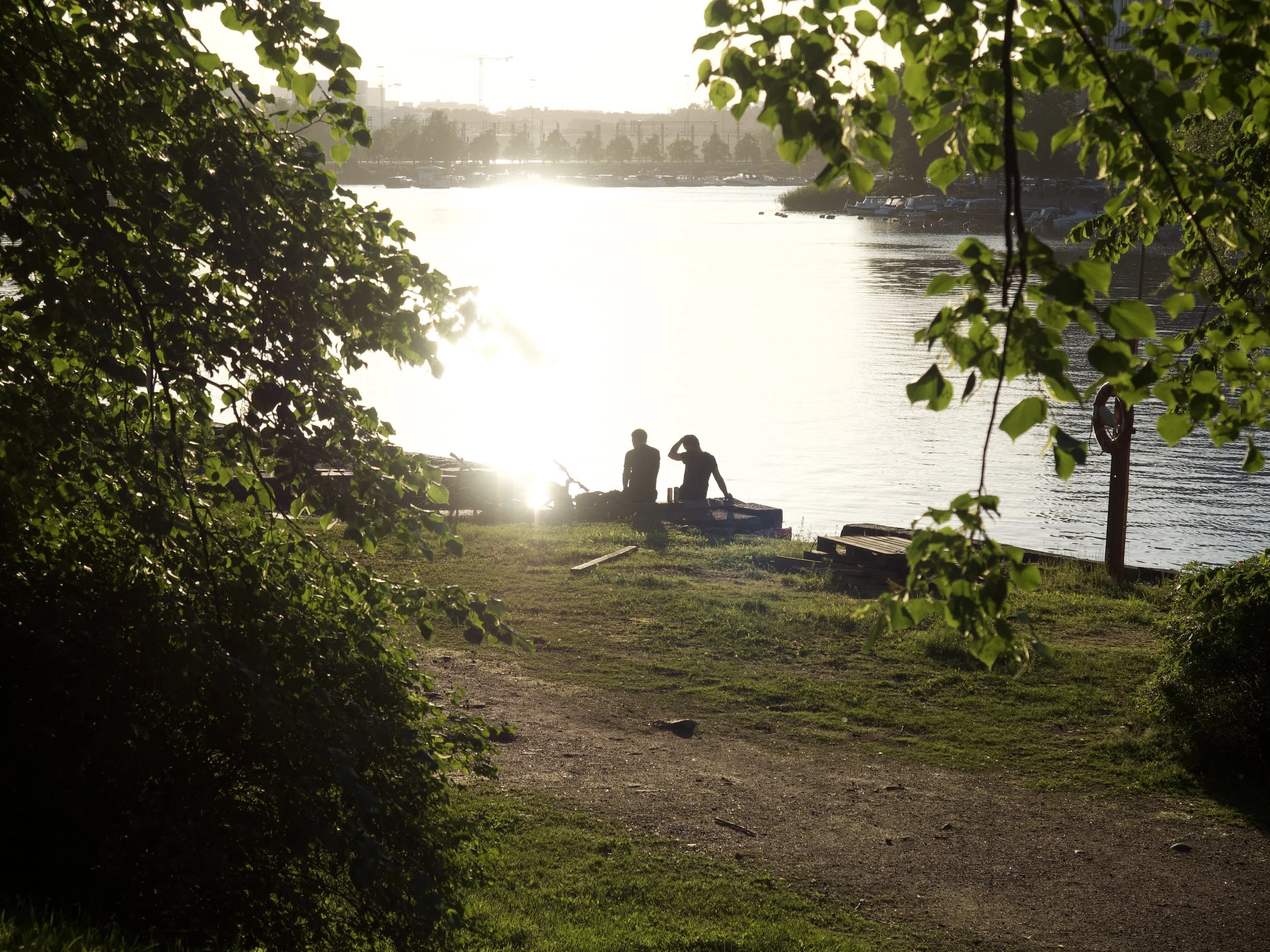 20160620 - 163805 - 1731 - OLYMPUS IMAGING CORP. E-M1.jpeg