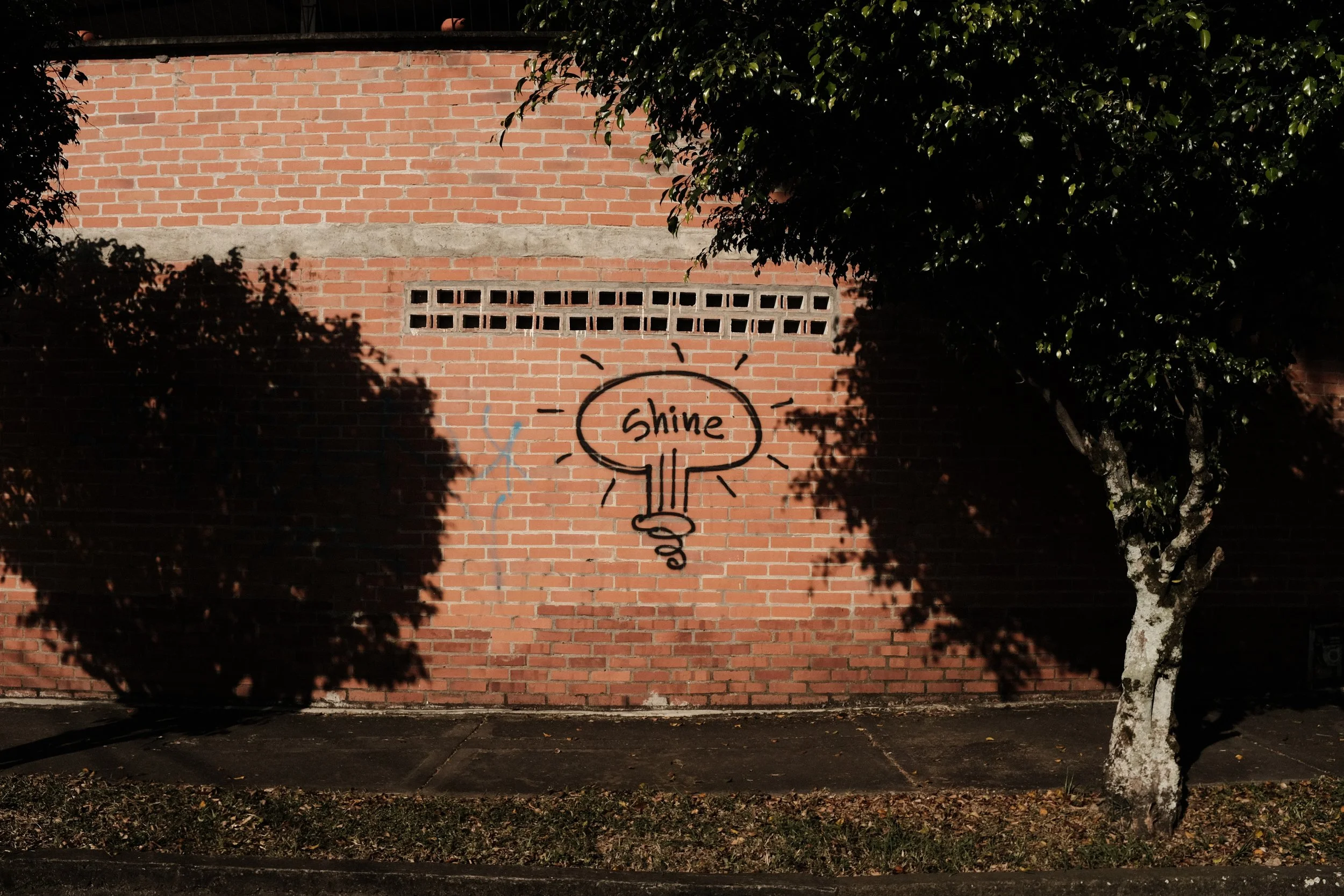 20200117 - 165335 - 3346 - FUJIFILM X100F.jpeg