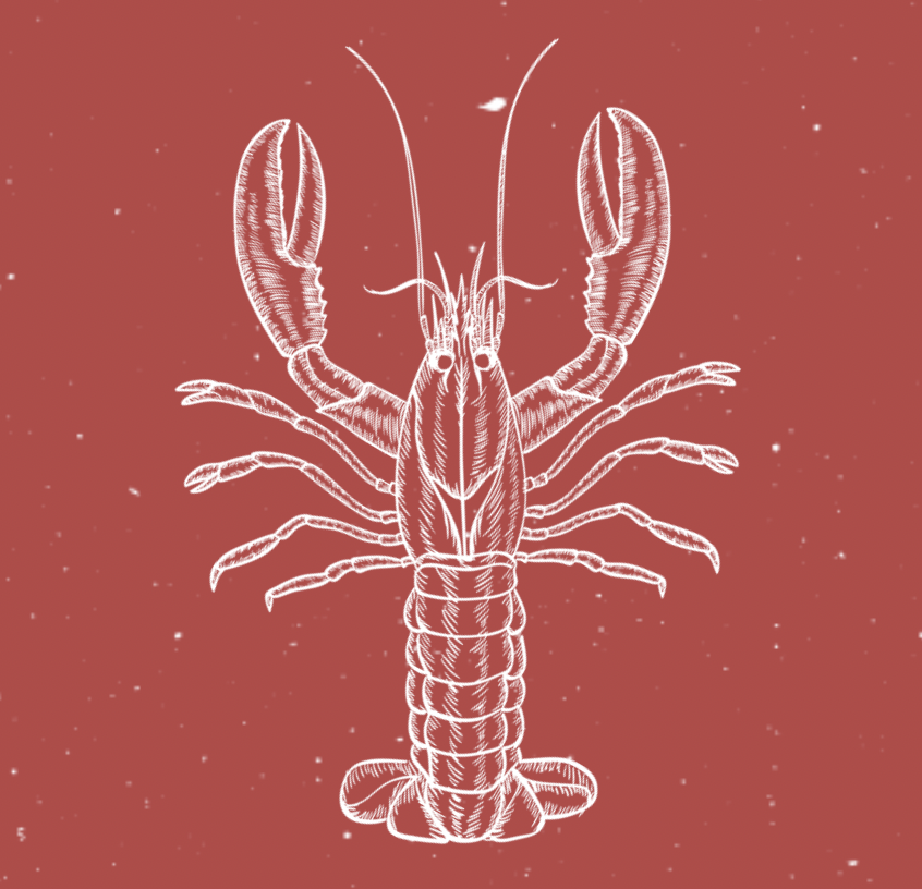 Lobster Night