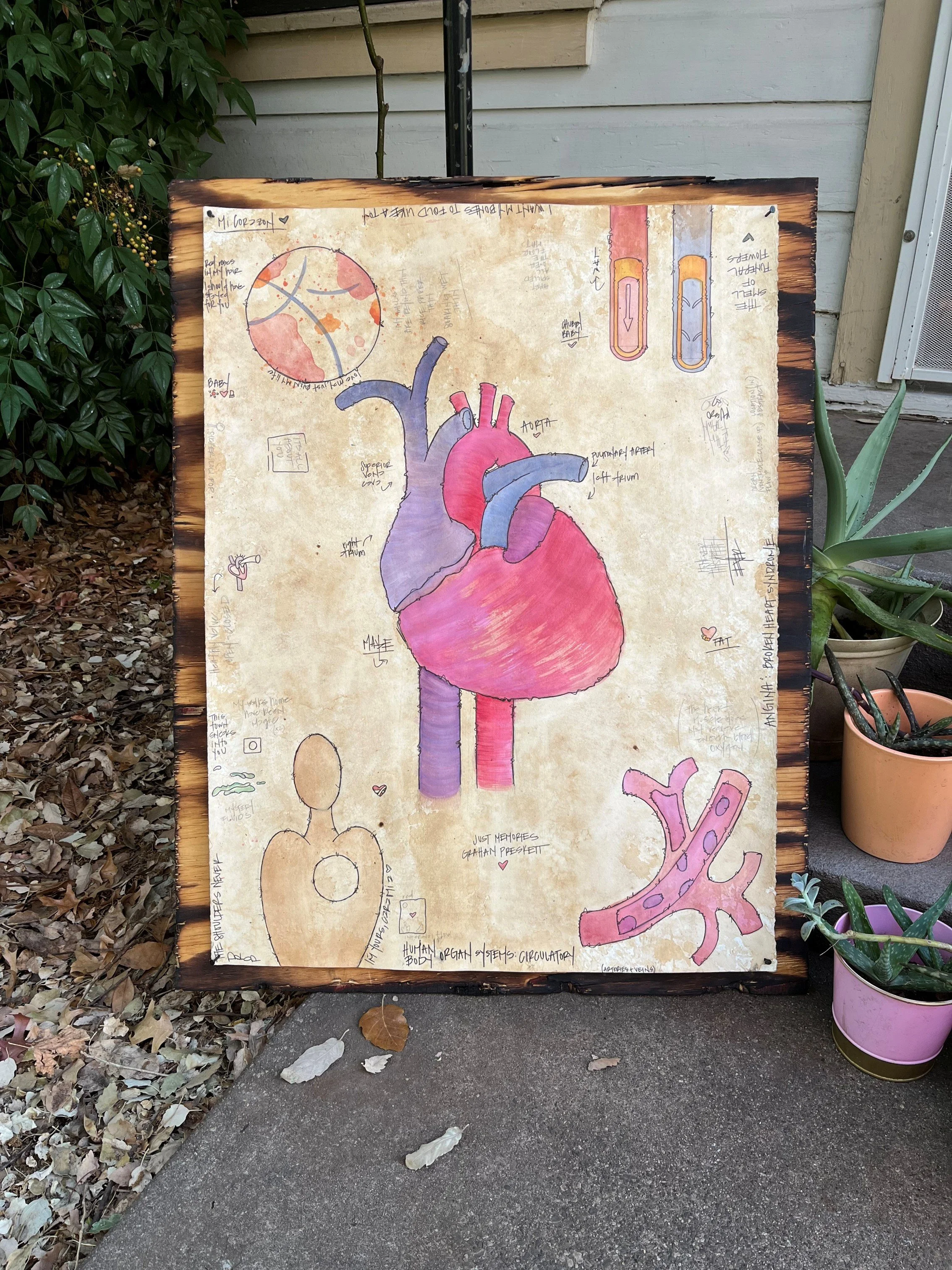 heart.jpg