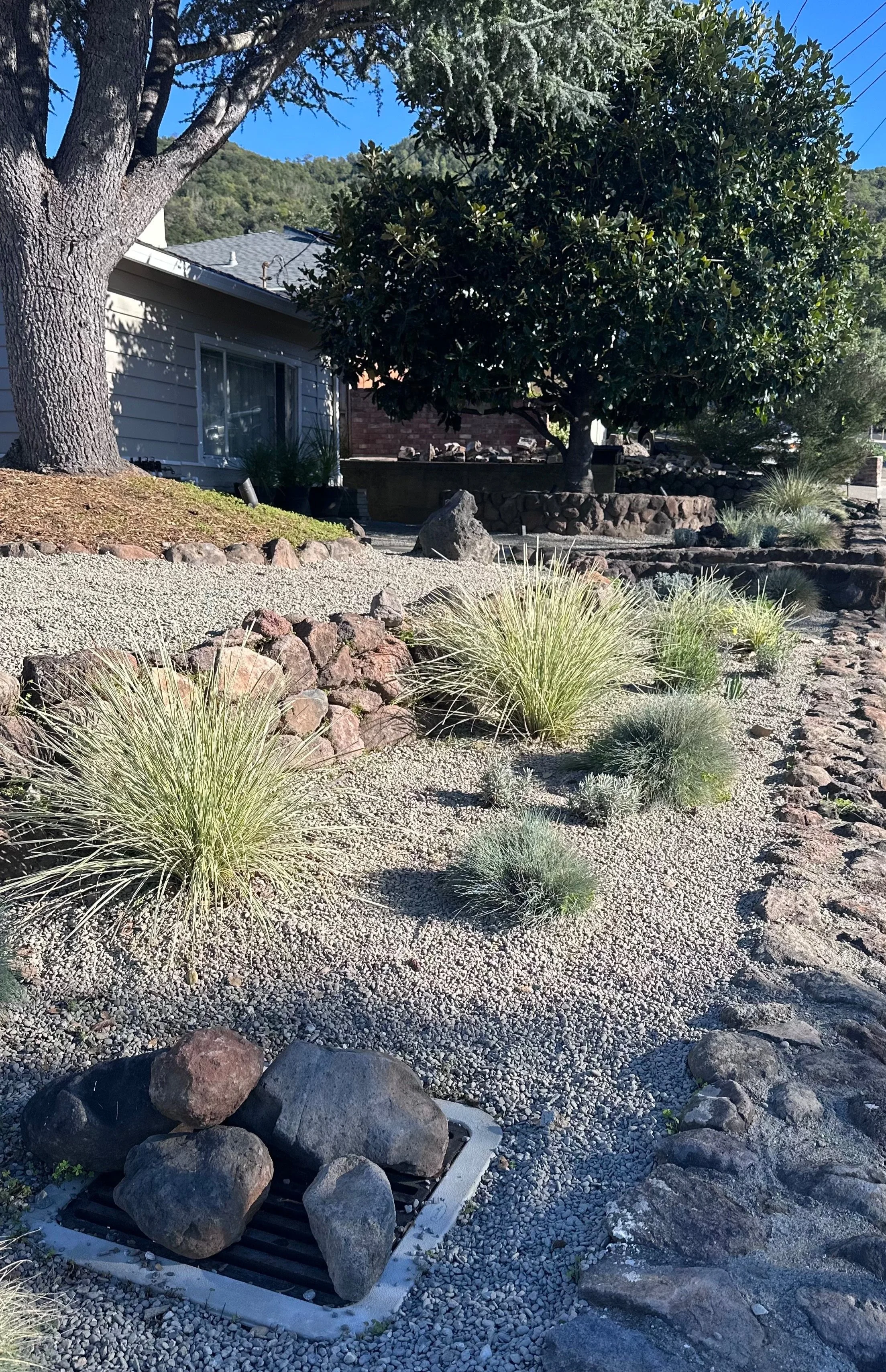 Samwise project: xeriscape