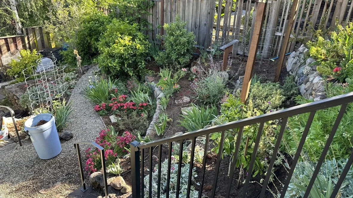 Terraced garden with varied plants and irrigation lines.