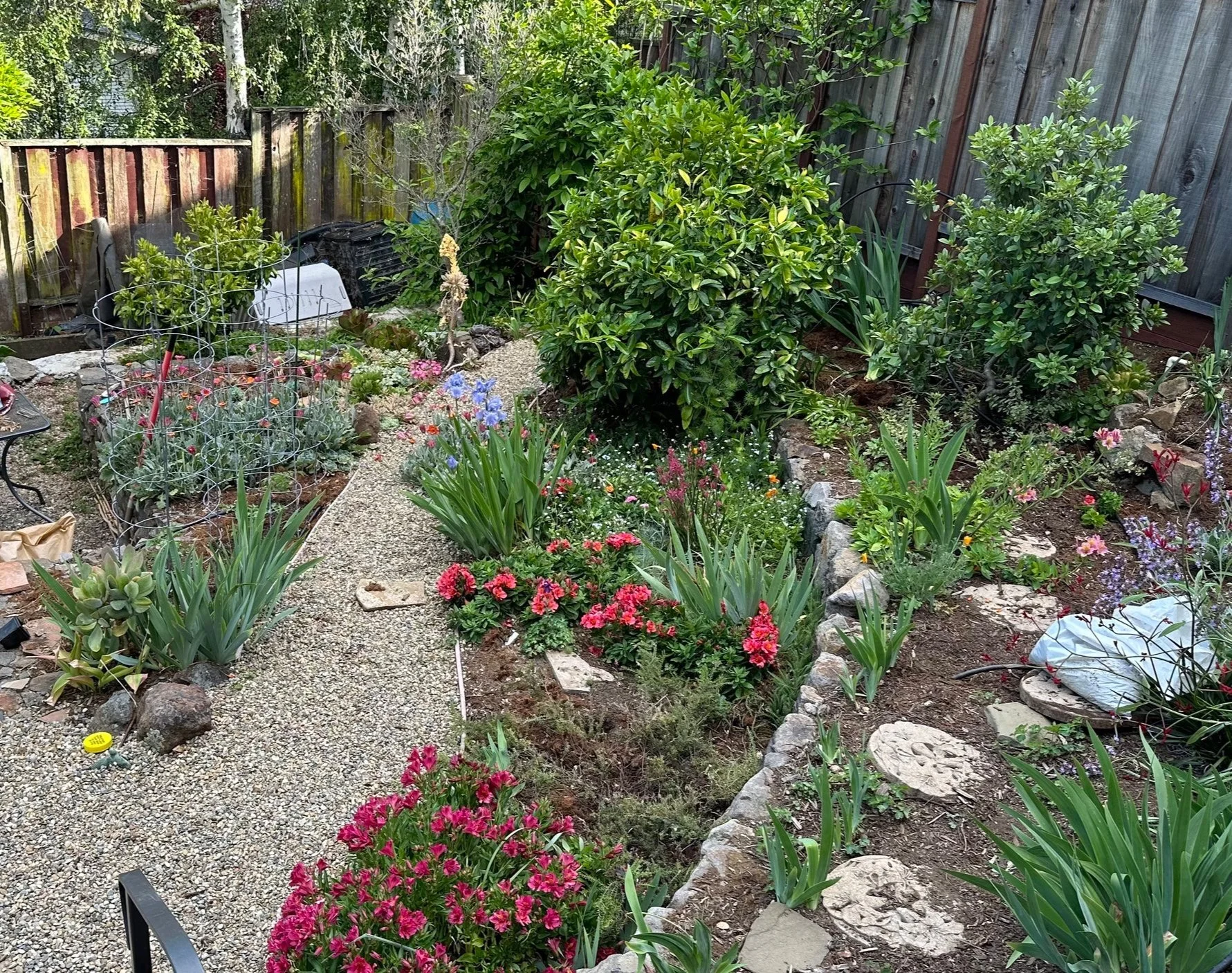 Samwise project: terraced garden