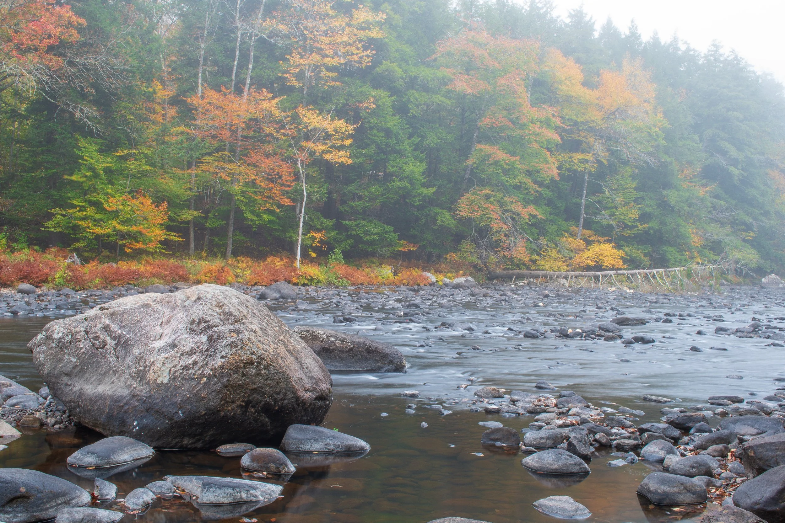West Branch Sacandaga