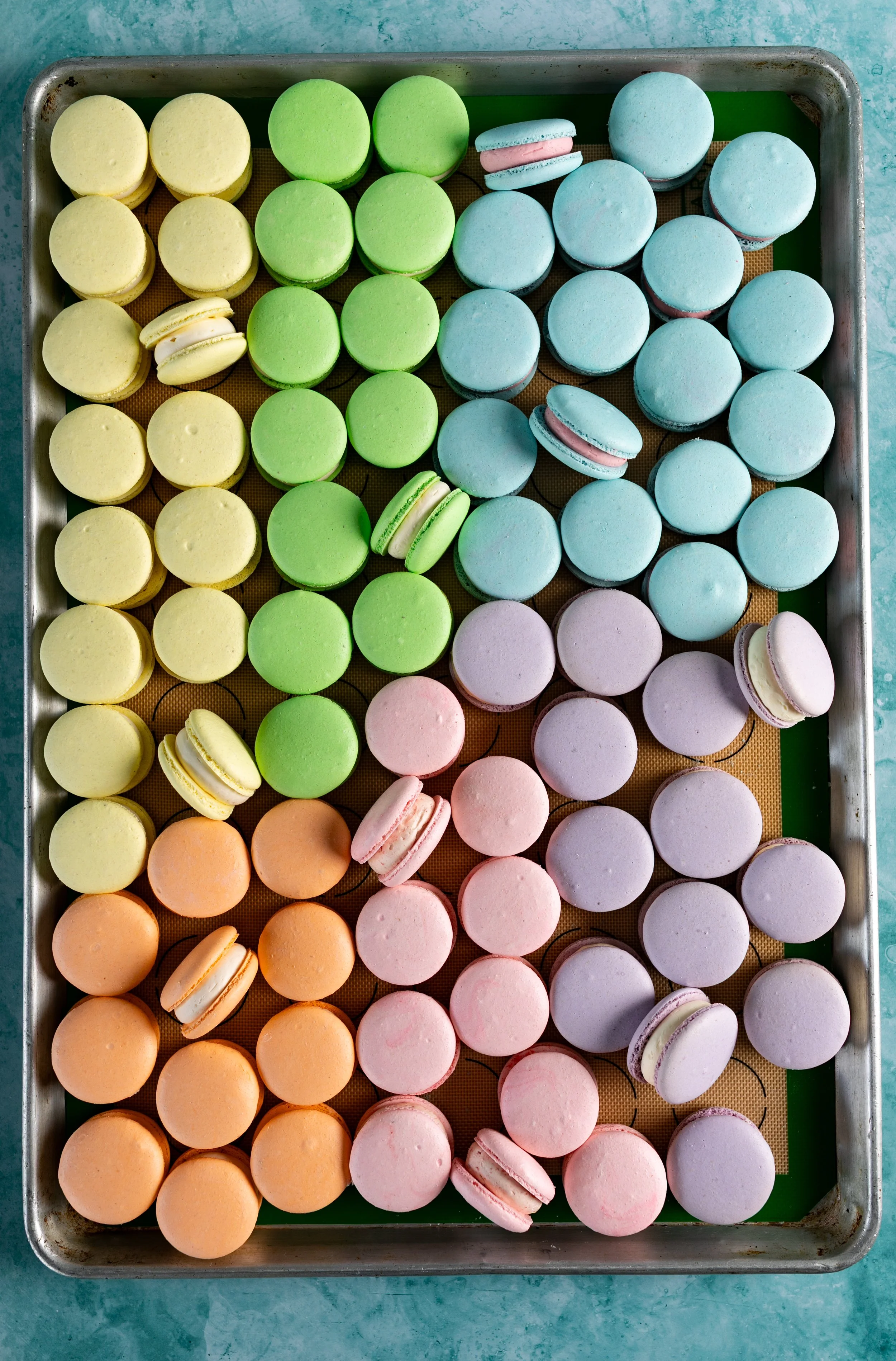 rainbow macaron tray seattle bakery dessert photographer