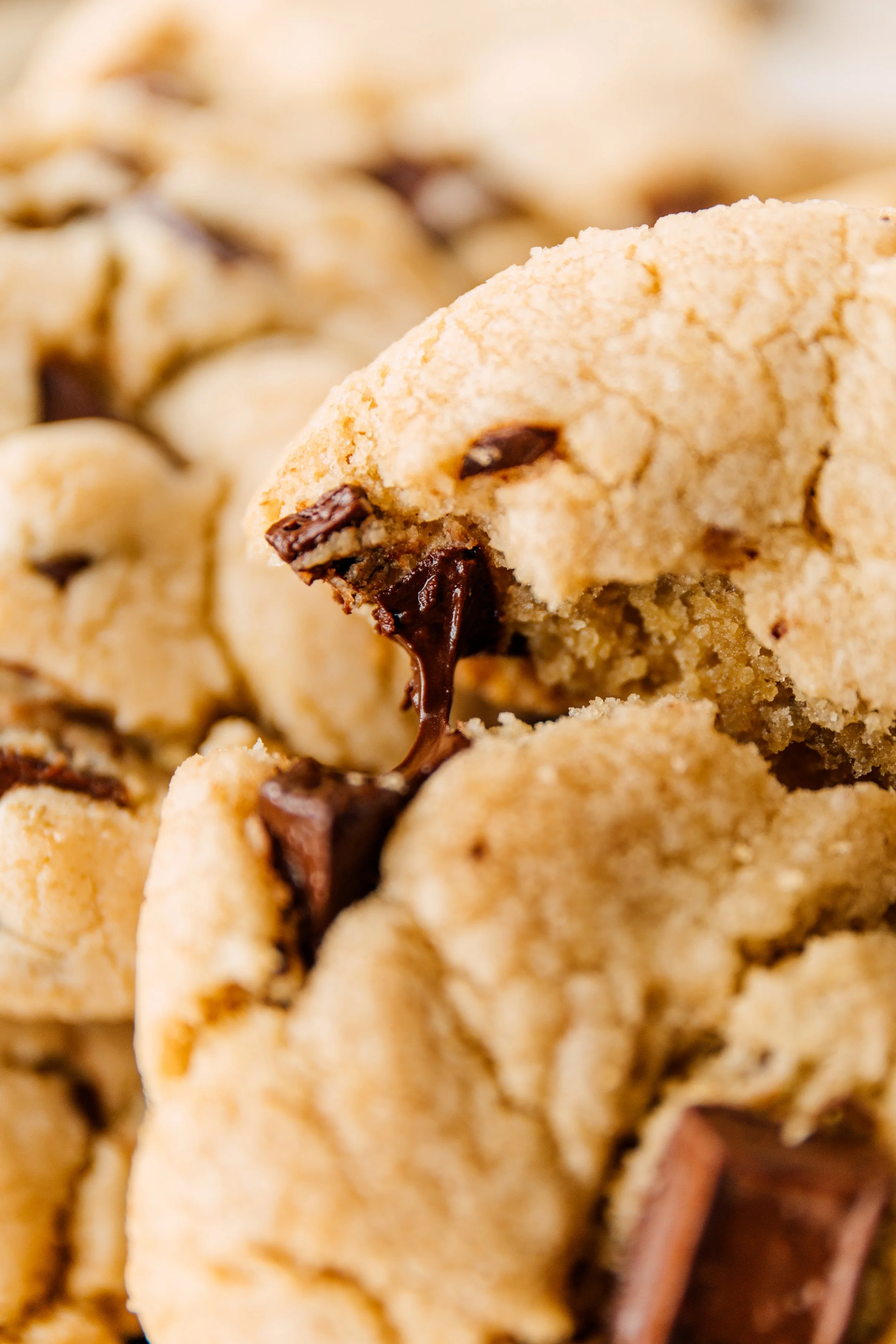 warm chocolate chip cookie melted chocolate pulling apart macro photography bakery dessert seattle food photographer