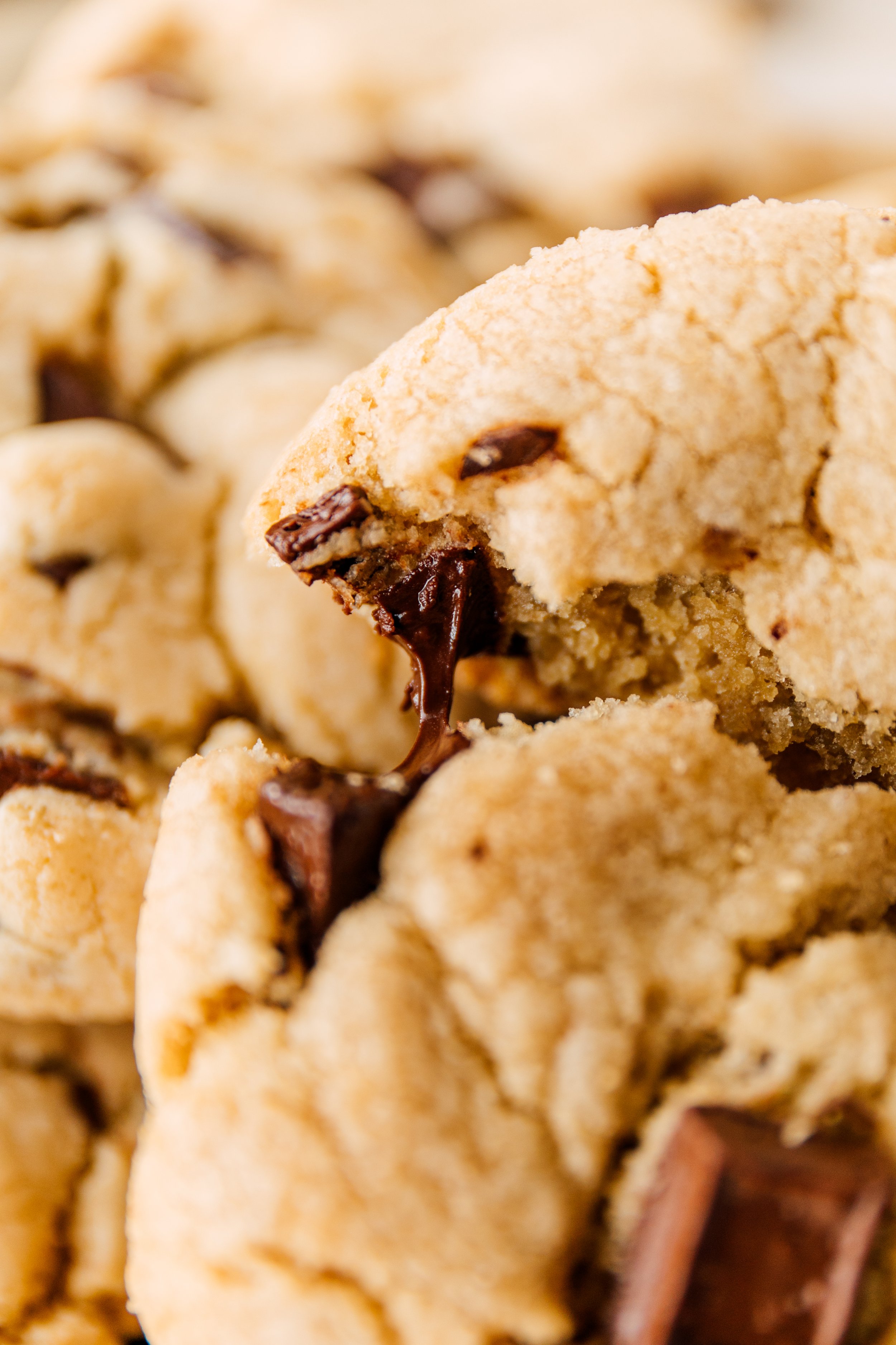 Warm gooey melted chocolate chip cookie macro photo with texture details of crumbly cookie