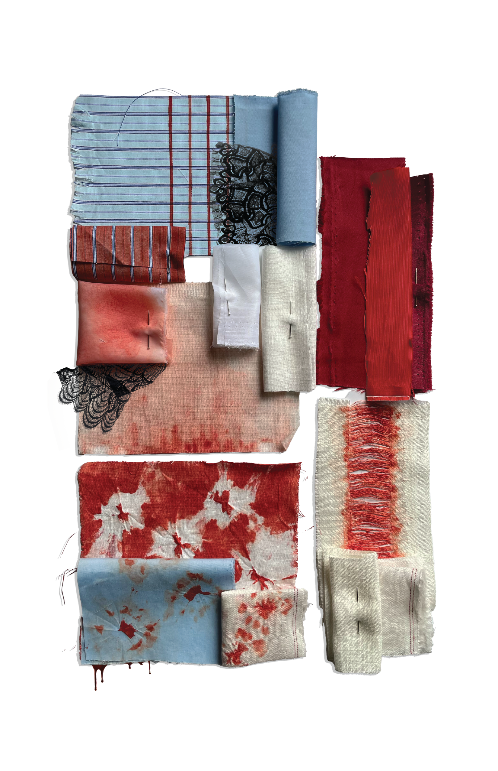 thesis portfolio_Back inside.png