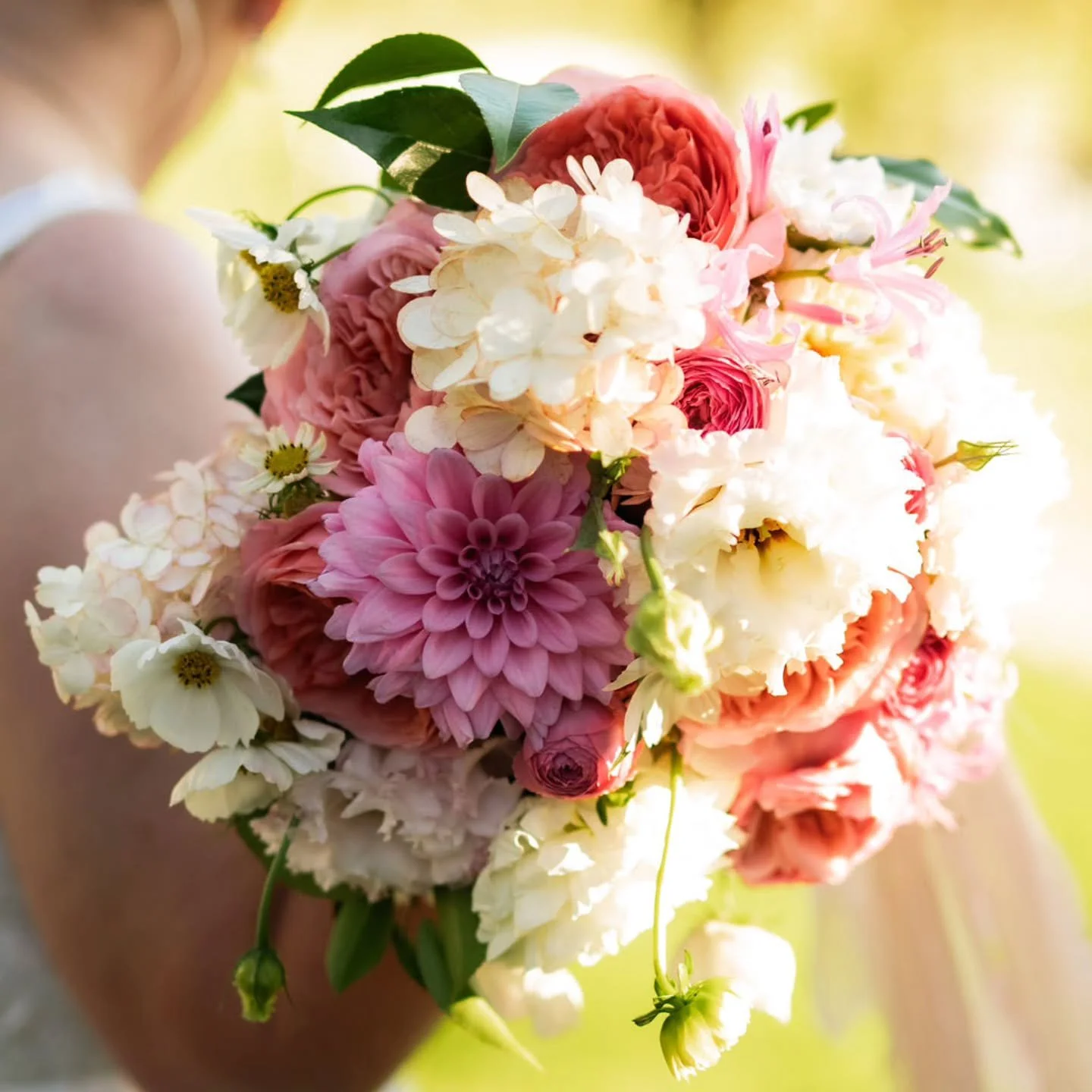 So many gorgeous blooms went into Amy's abundant bouquet 🌸 
.
.
.
#weddingbouquet #bridalbouquet #gardenwedding #camdenvalleyinn #bride #ceremonyflowers #wedding #weddingday #florist #weddingflorist #bridalparty #macarthurwedding #southernhighlandsw