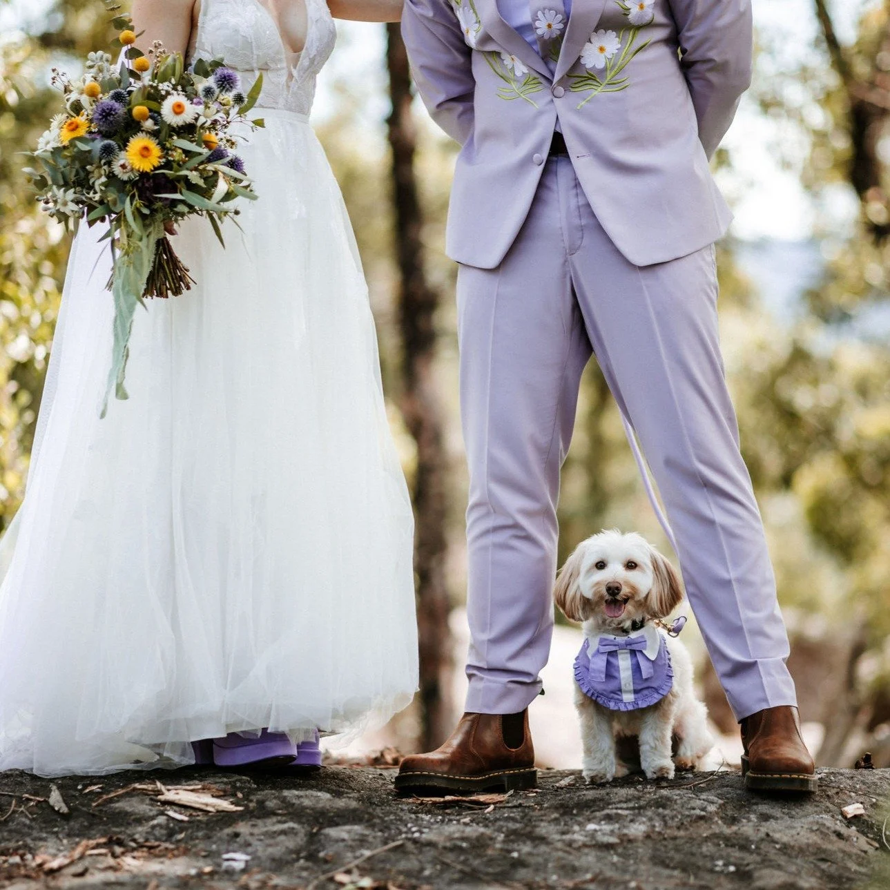 When the whole family matches 💜🤍💛💙
.
.
.
#danikabellflorist #family #weddingbouquet #puppylove #familyphoto #nativebouquet #brideandgroom #paperdaisy #billybutton #eucalyptus #southcoastwedding #wollondillyflorist #wollondilly #aussiebush #weddin