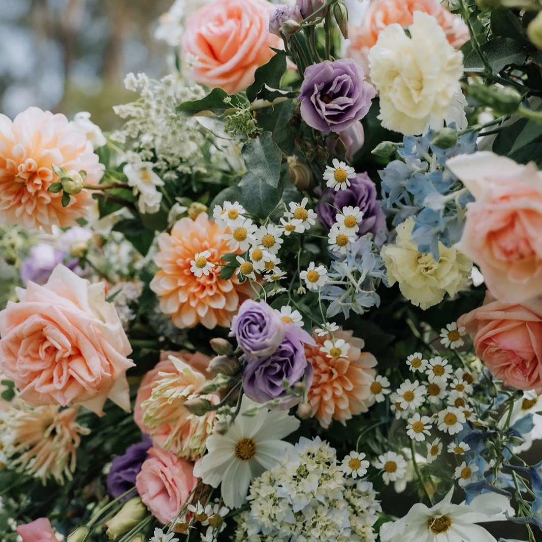 Beginning the new year with some pretty pastels. Are you looking forward to seeing more colour this year?
.
.
.
#pastelflowers #weddingflowers #ceremony #arbourflowers #weddingflorist #2026 #newyear #bride #weddingday #southernhighlandswedding 

Phot