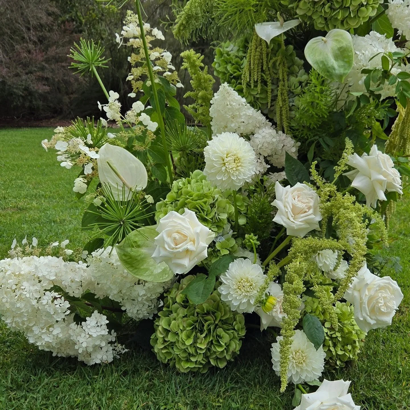 There was so much love for Marija &amp; Luke's ceremony columns i thought I'd share it here.. 
Crisp whites &amp; greens looking gorgeous for a summer wedding 🤍 
.
.
.
#danikabellflorist #ceremonyflowers #whitewedding #southernhighlandswedding #wedd