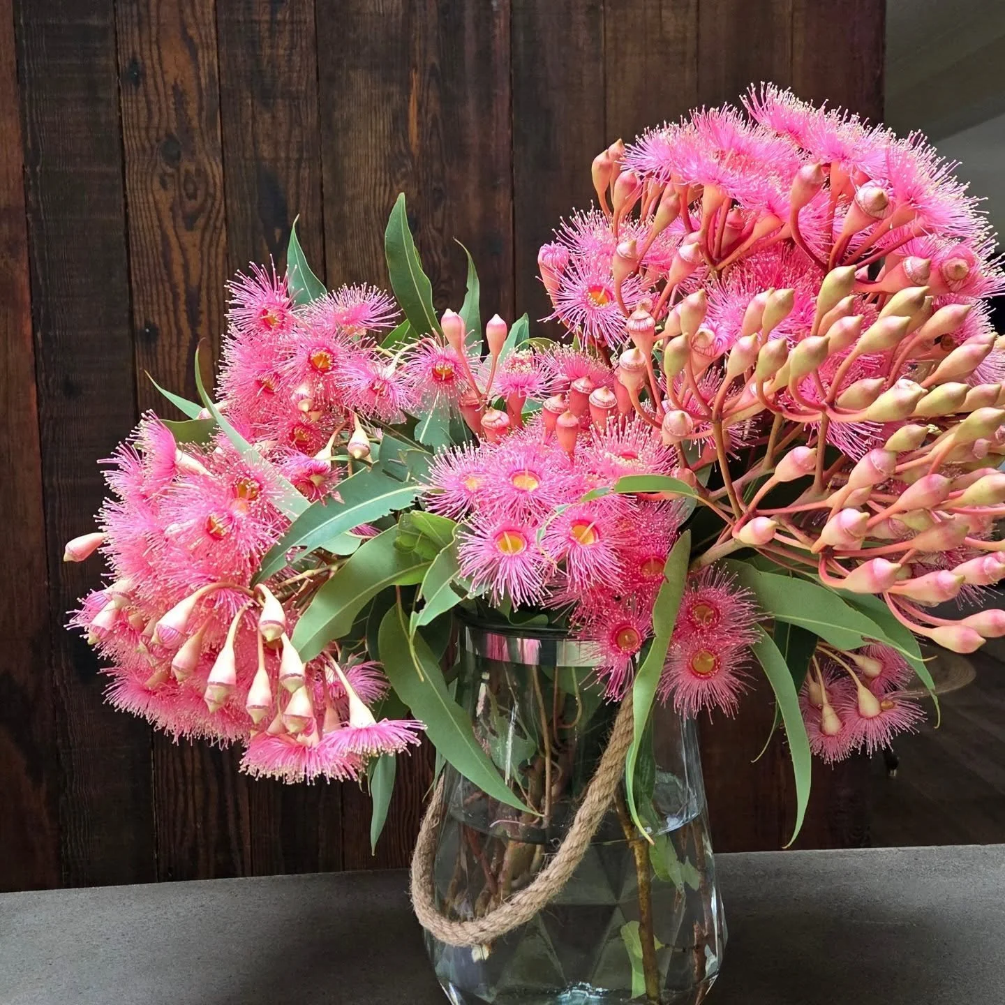 I usually only post special Wedding pics on the feed but this pink flowering gum is just too stunning not to post! 
Tell me you agree? 

If I'm asked what my favourite flowers are, this is definitely in my top 5!! 🌸 
.
.
.
#floweringgum #pinkfloweri