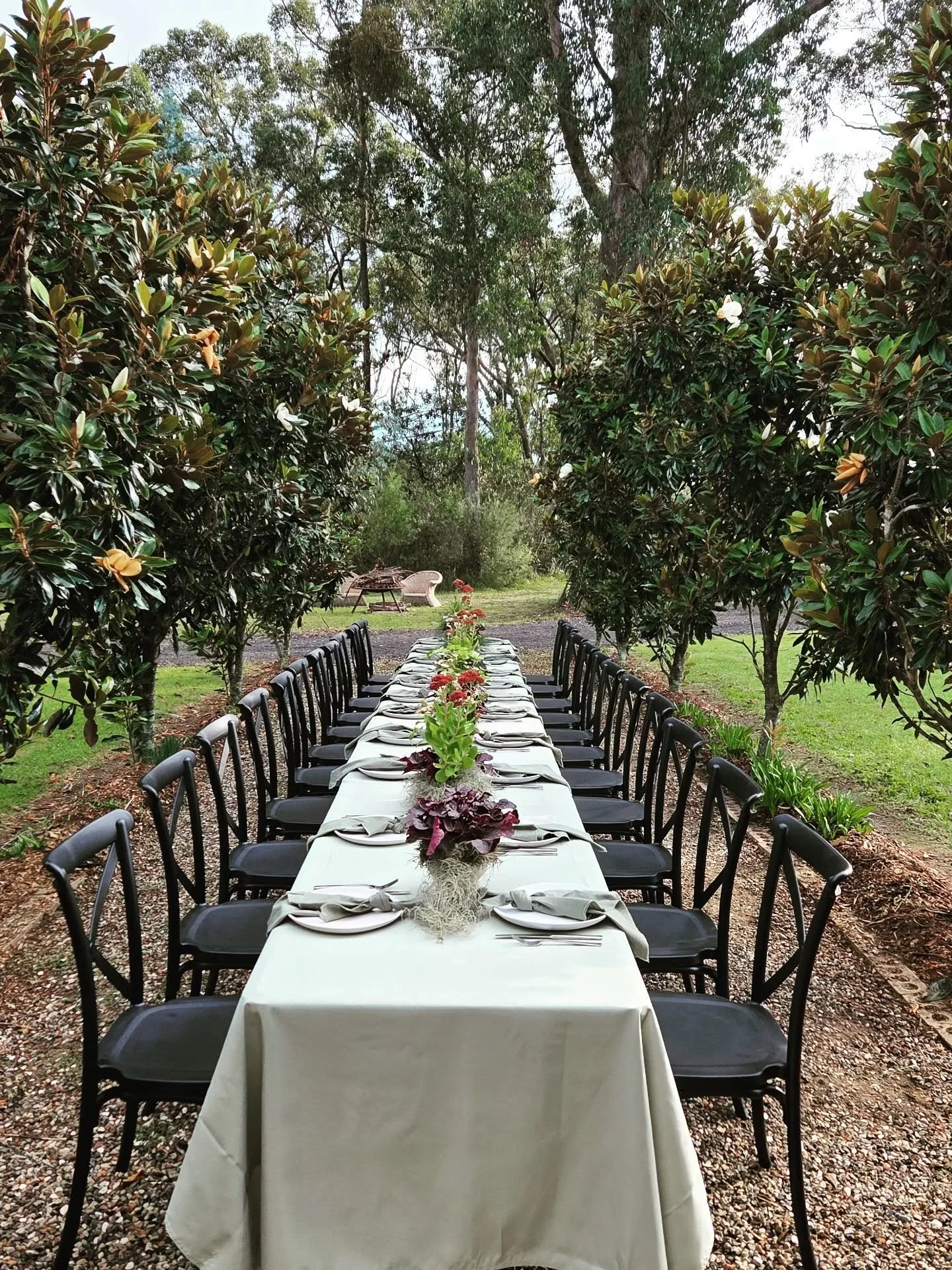 FORTY 
Last week I joined the forties club &amp; had a garden party 🥳 
I was super excited to have my own brief at our home for the long table lunch with family &amp; close friends. 🤎 
I am a self confessed plant lover 🪴 so I decided to switch the