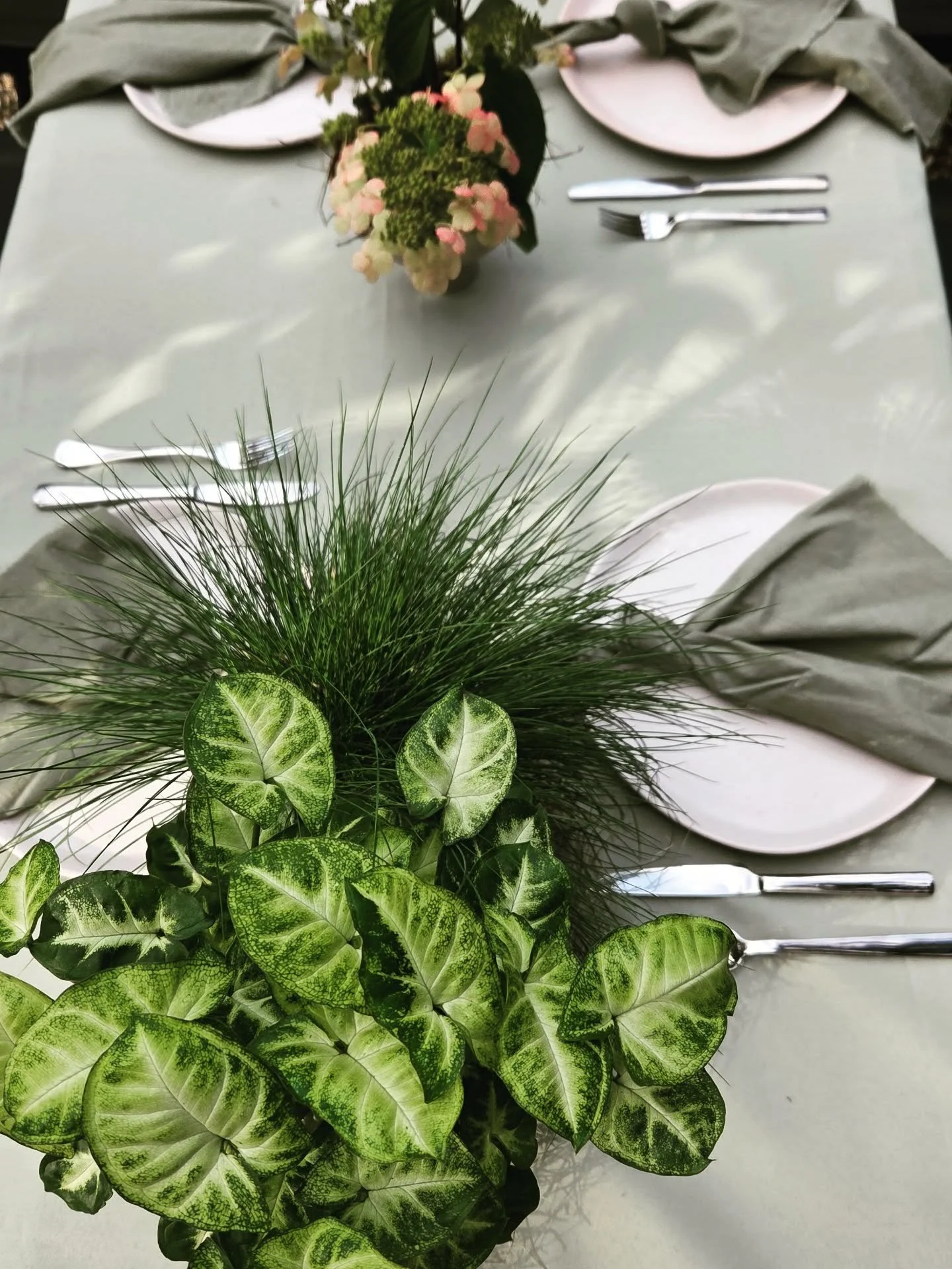 GARDEN PARTY 🪴
One more post from my garden party table as you all gave it so much love 🫶 
Foliage has so much texture &amp; colour 🌿 and that's what makes it so interesting! I hope you love these pics too ❤️🪴🌿🫶 
.
.
.
#danikabellflorist #longt