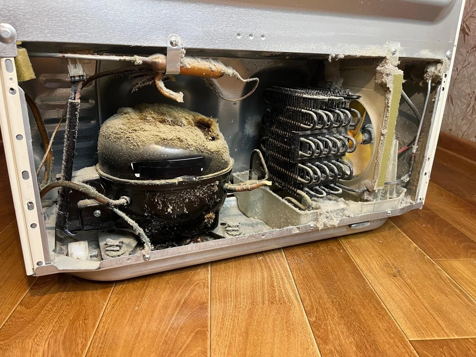 Refrigerator with bottom panel removed, compressor and condenser coils caked in dust, a common cause of a fridge not cooling