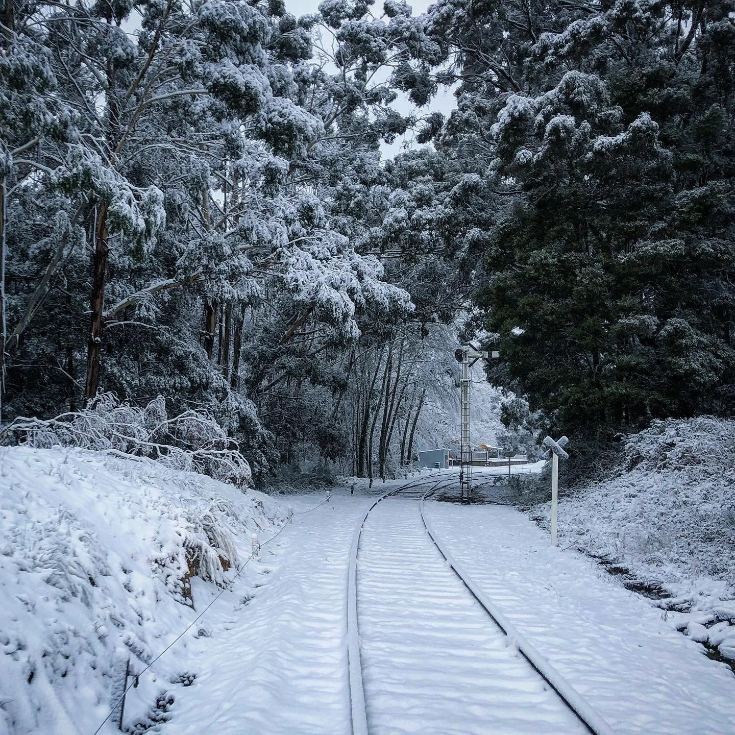 snow.jpg