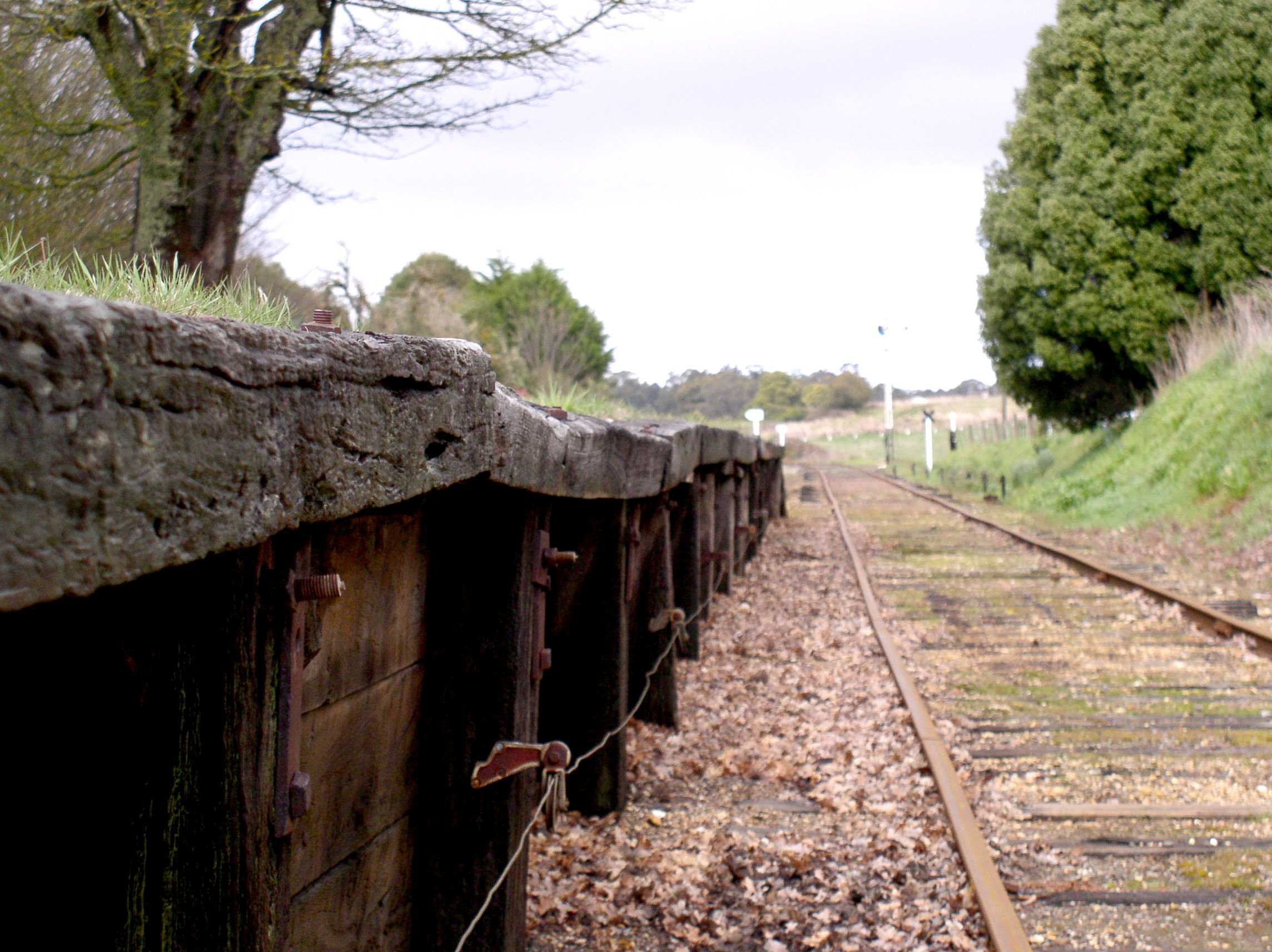 collasping musk platform.JPG