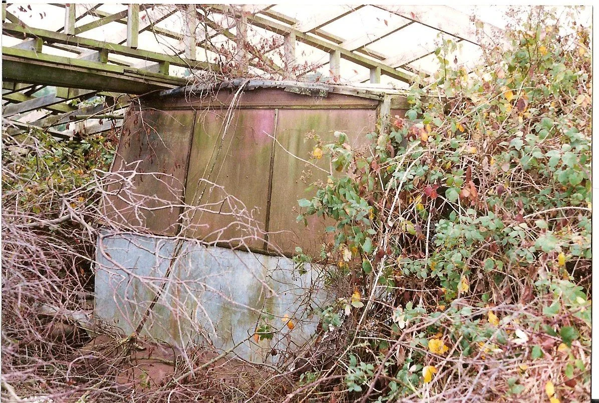 The back of 5RM showing the collapsed house frame which destroyed the vehicle plus all those blackberries.jpg