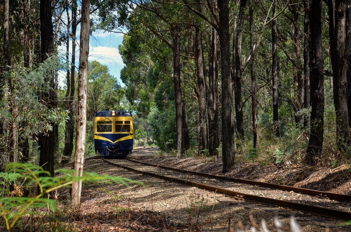 Enjoy a train ride on this lovely Sunday at Daylesford Railway! 🌞

It&rsquo;s a perfect day in Daylesford &ndash; combine your heritage train adventure through the stunning Wombat State Forest with the vibrant Daylesford Sunday Market! 🛤️✨

Today&r