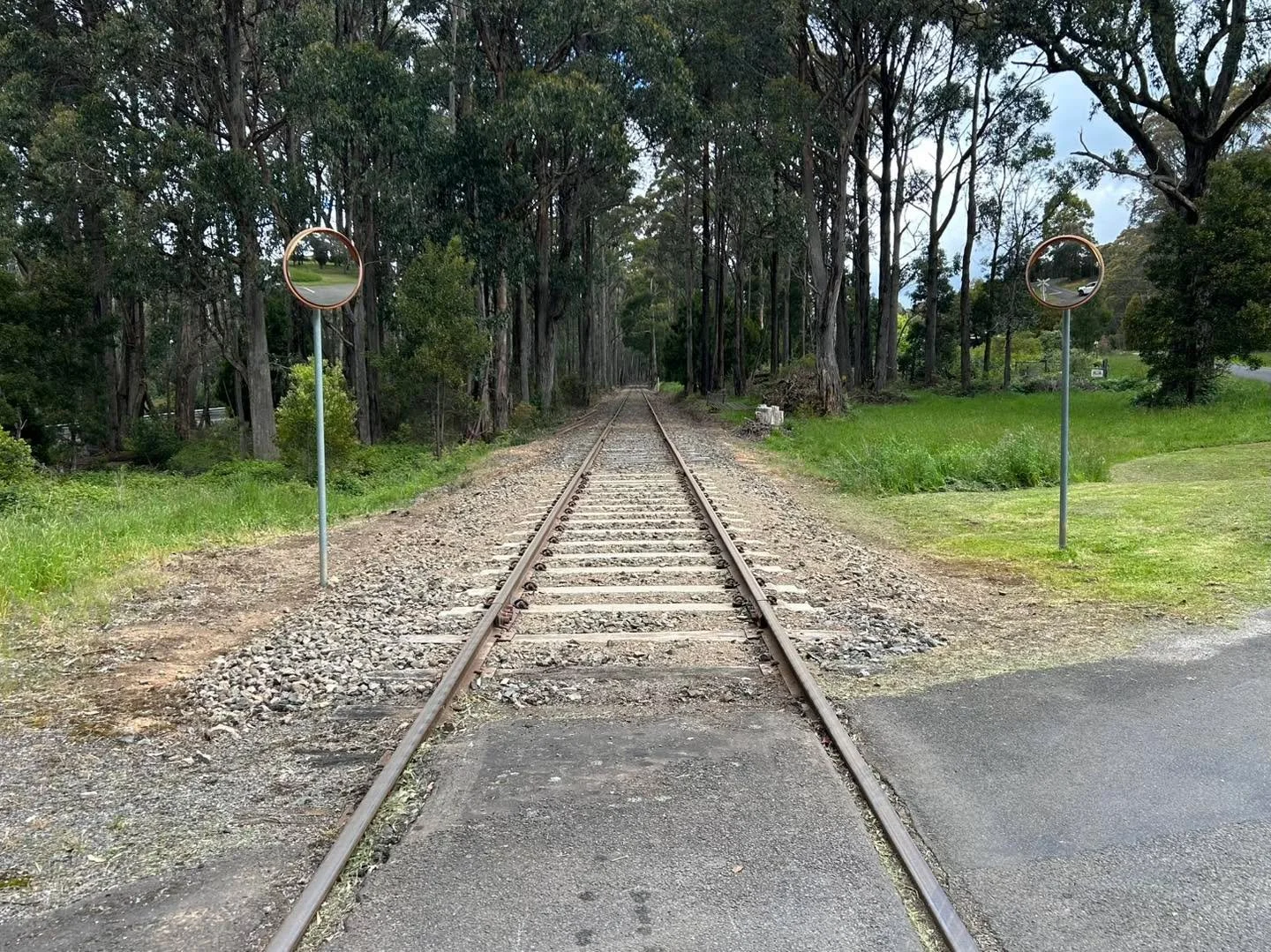 Our hardworking volunteers have been diving right into our rail replacement project!

Today, the crew swapped out approximately 95 linear meters of rail,  a fantastic effort for the first full day on the job. 

As always a friendly reminder to please