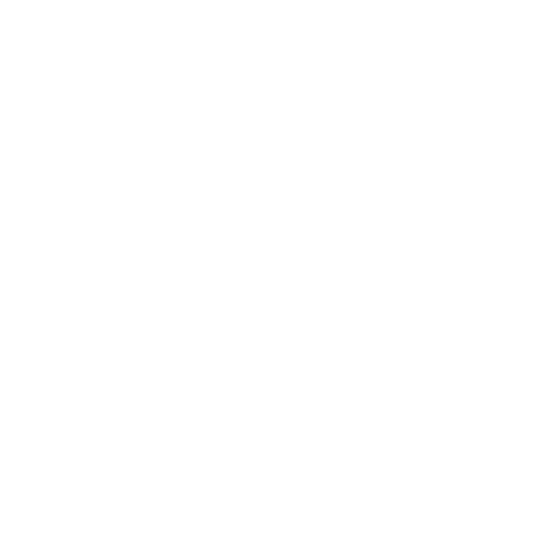 Outlined light bulb icon with rays