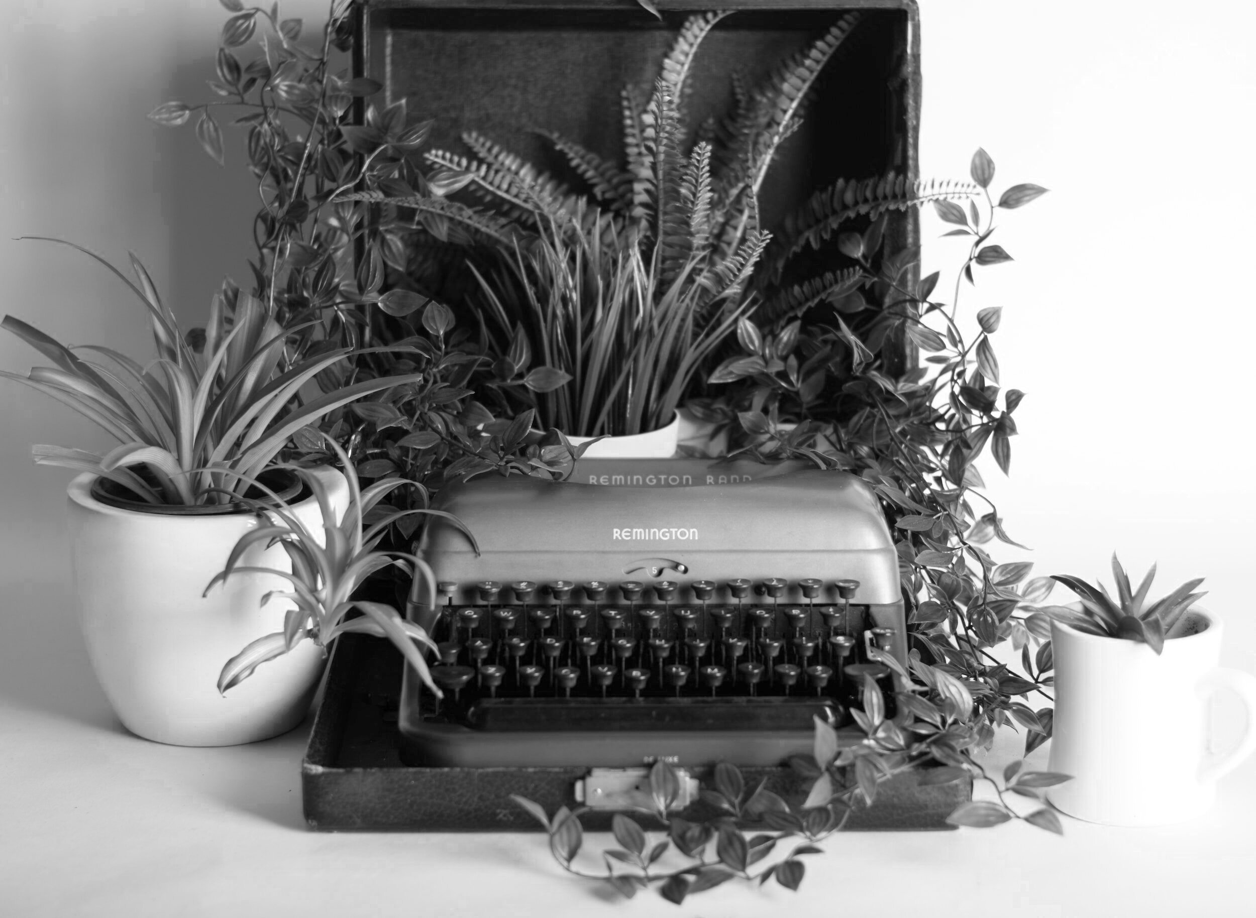 A Case Study In: Writing More.