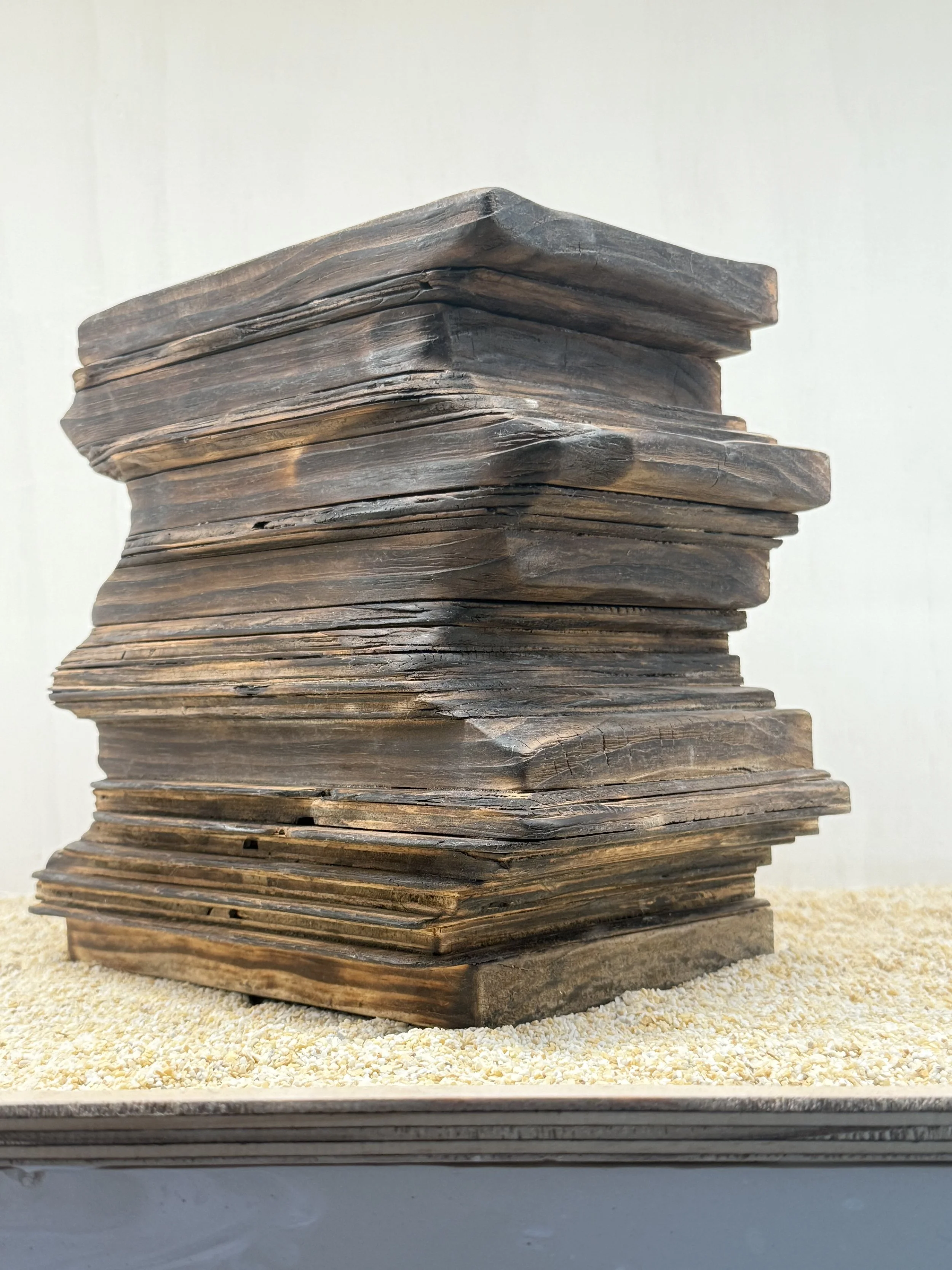 Sensed Living Belonging