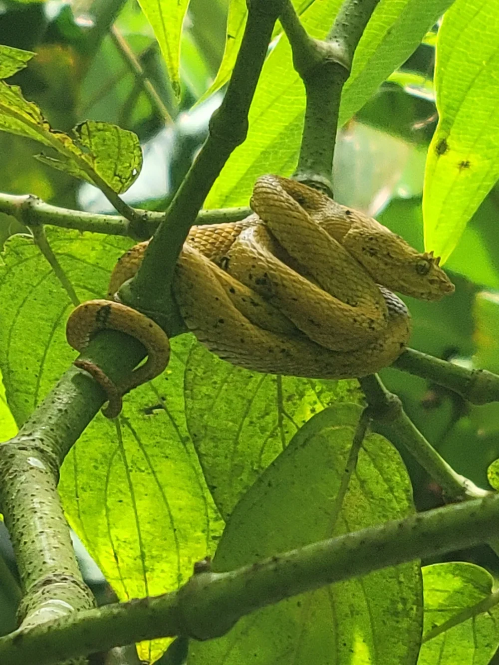 20230708_111237 (1).webp