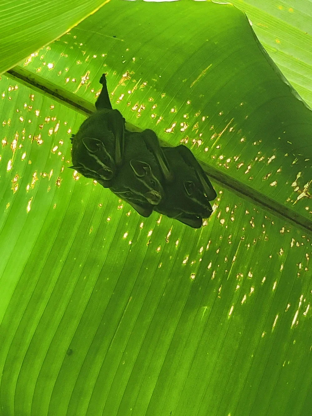 20230708_111438 (1).webp