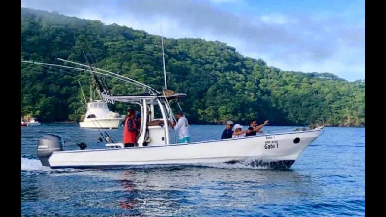 Sport fishing boat 29 feet tamarindo beach