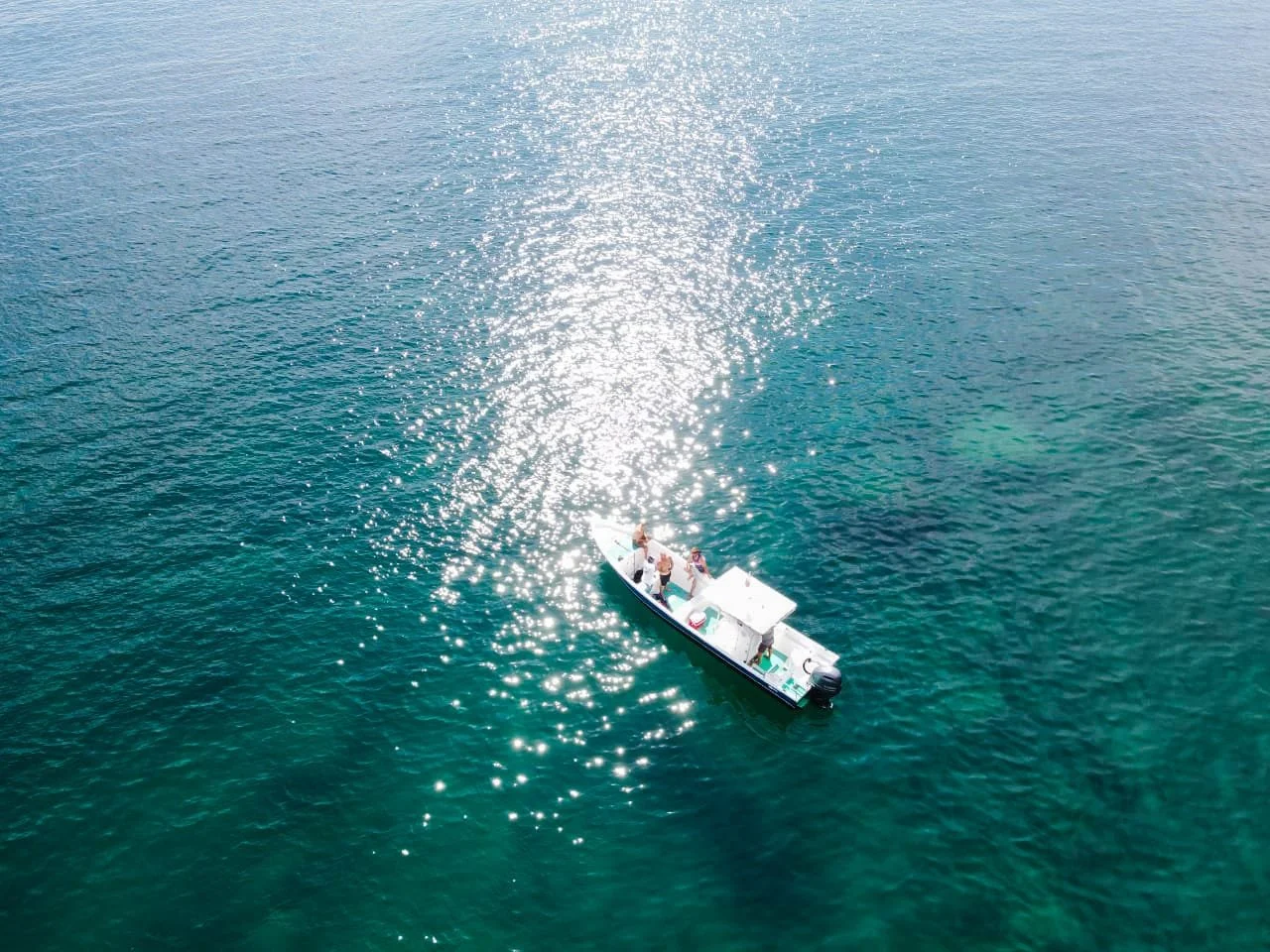 Sportfishing tour from Flaming beach aereal pic