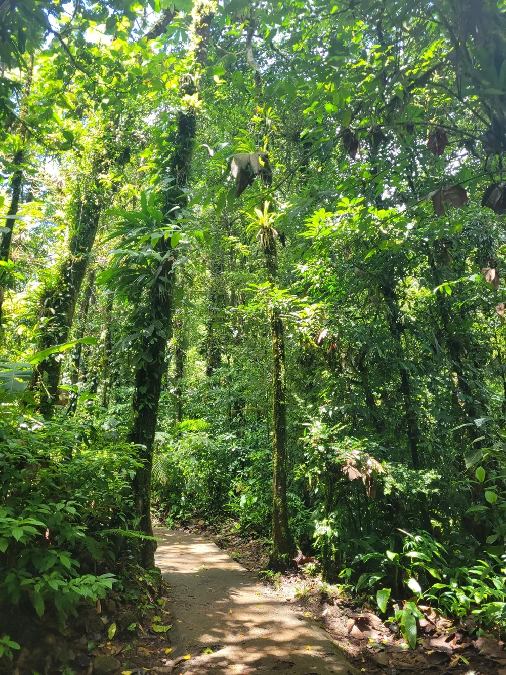 20230330_110248 (1).webp