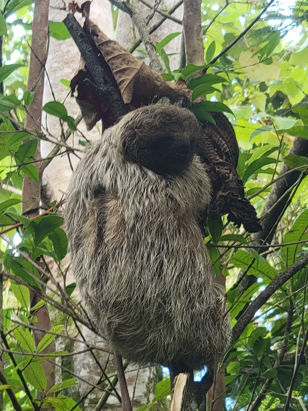 20230708_113114 (1).webp