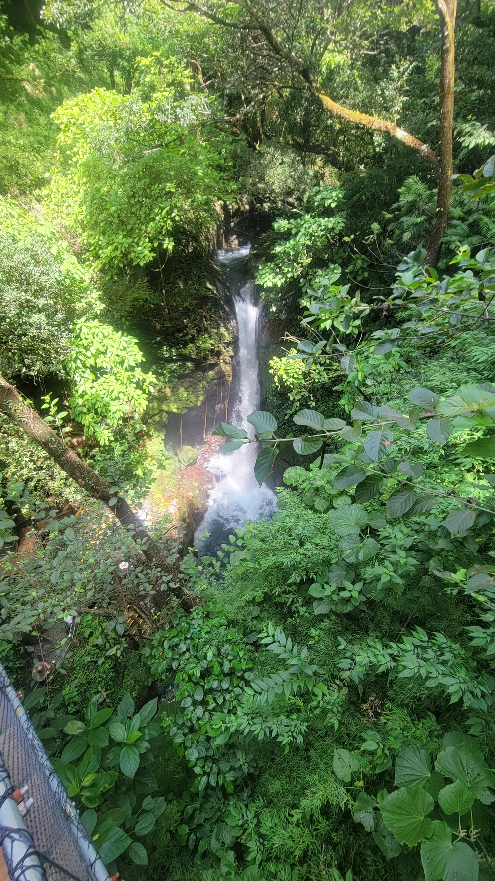 20231113_105225 (1).webp