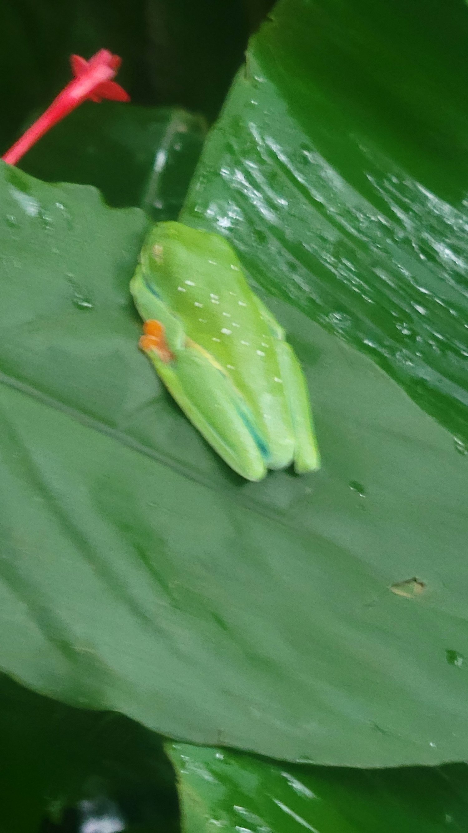 processed_20231230_160807.jpg